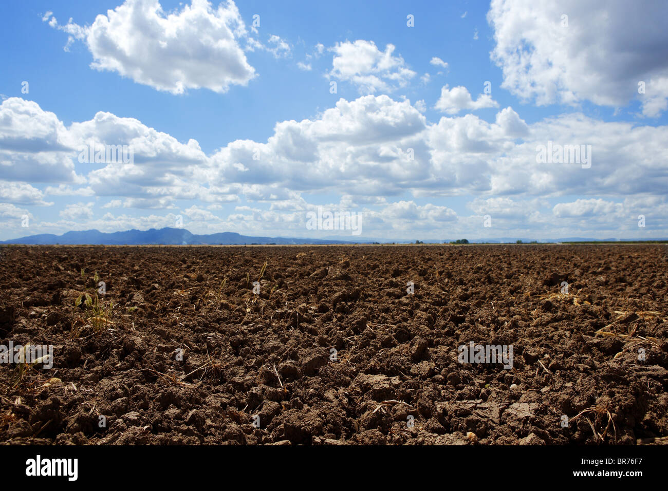 pflügen Sie Gepflügtes braunen Lehm Boden Feld blauer Himmelshorizont Stockfoto