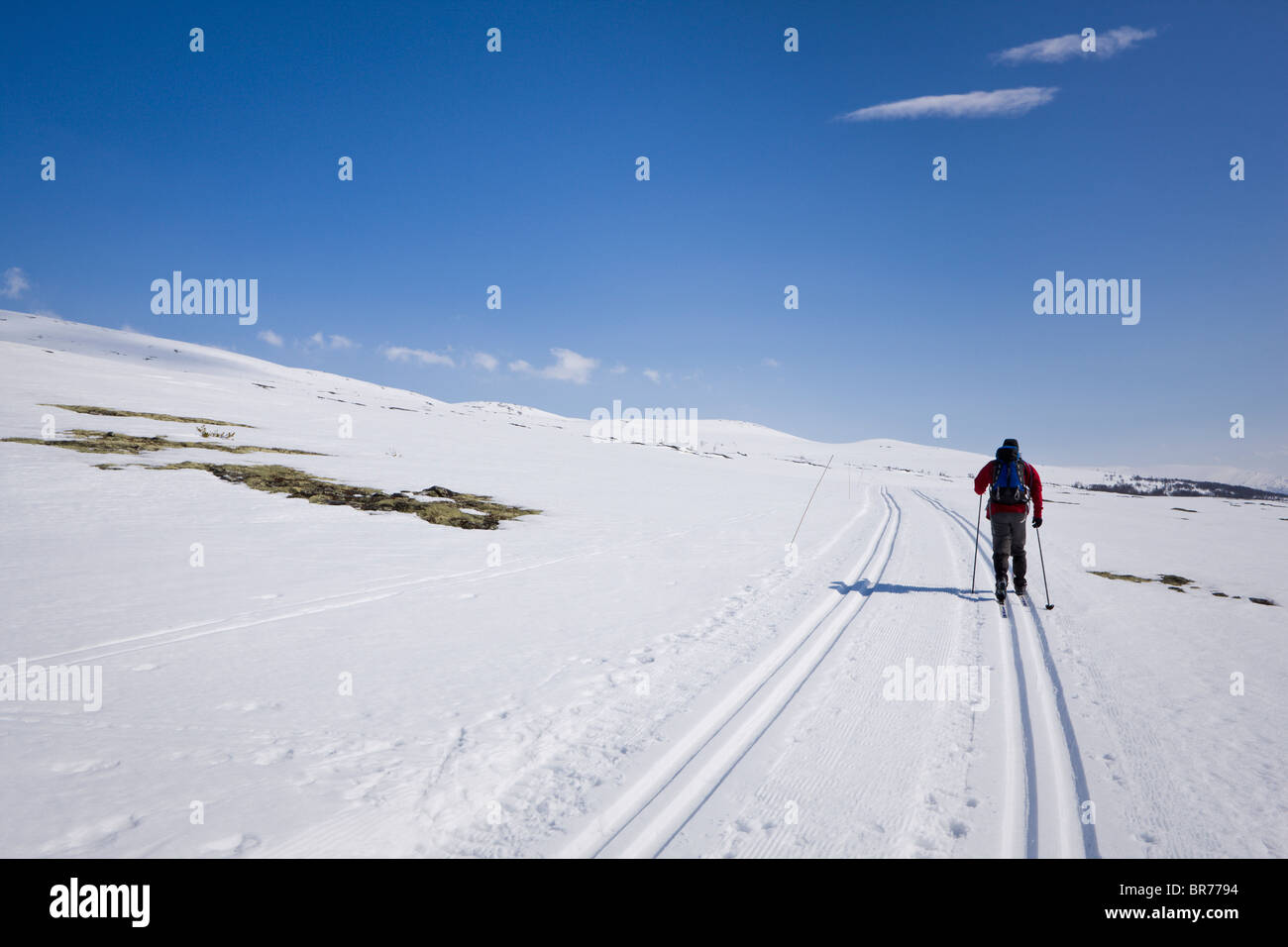 Mann oben in den Hügeln von Rondane Nationalpark Skifahren; Rondane, Norwegen Stockfoto