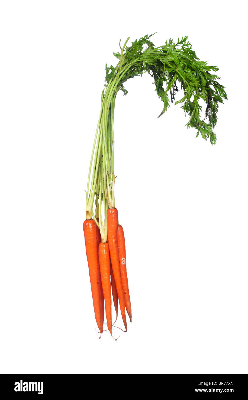 Eine Handvoll frische, Bio-Karotten, isoliert auf weiss. Stockfoto