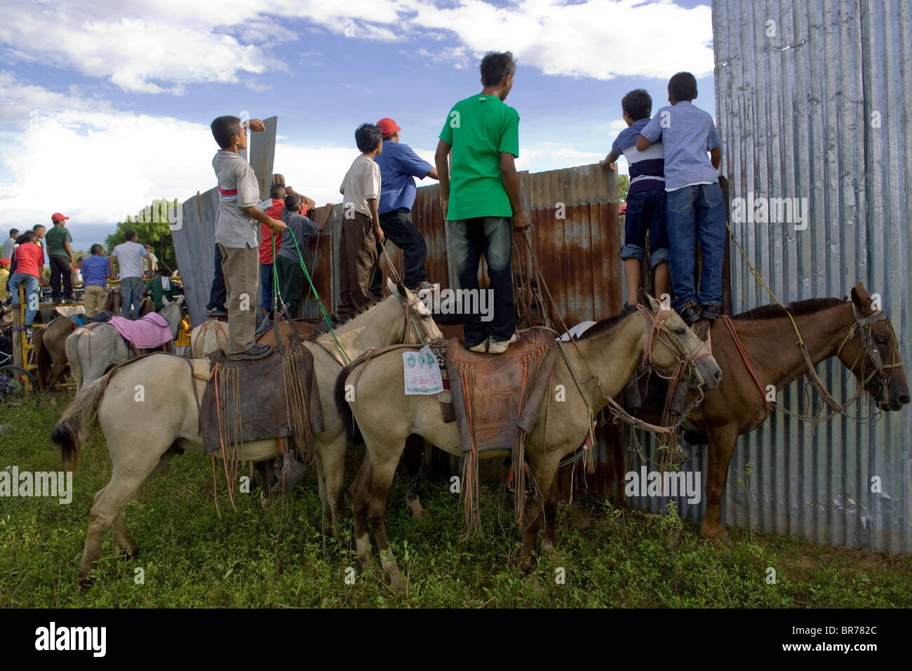 Mehrere Jungs stehen auf dem Rücken der Pferde, so dass sie ins Stadion sehen können, ohne zu zahlen für den Stierkampf in Somotillo Stockfoto