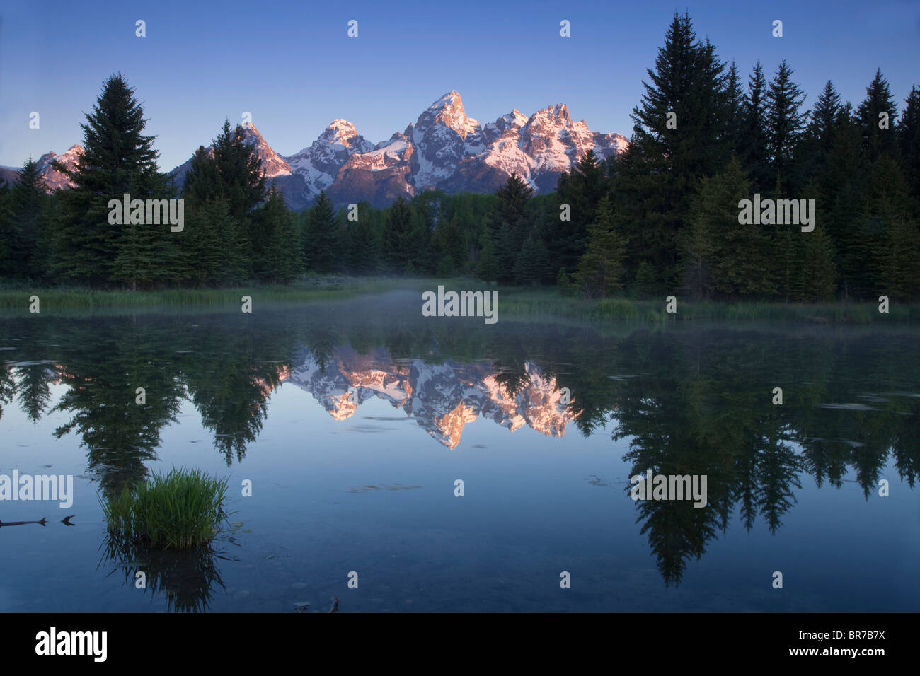 Grand Teton Nationalpark - Schwabacher Landung Stockfoto