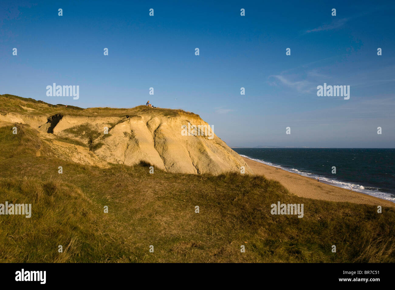 Einzige Person und ihr Hund sitzend auf Sandstein bei Burton Bradstock in Dorset ich herrliche Sommer Abendlicht Stockfoto