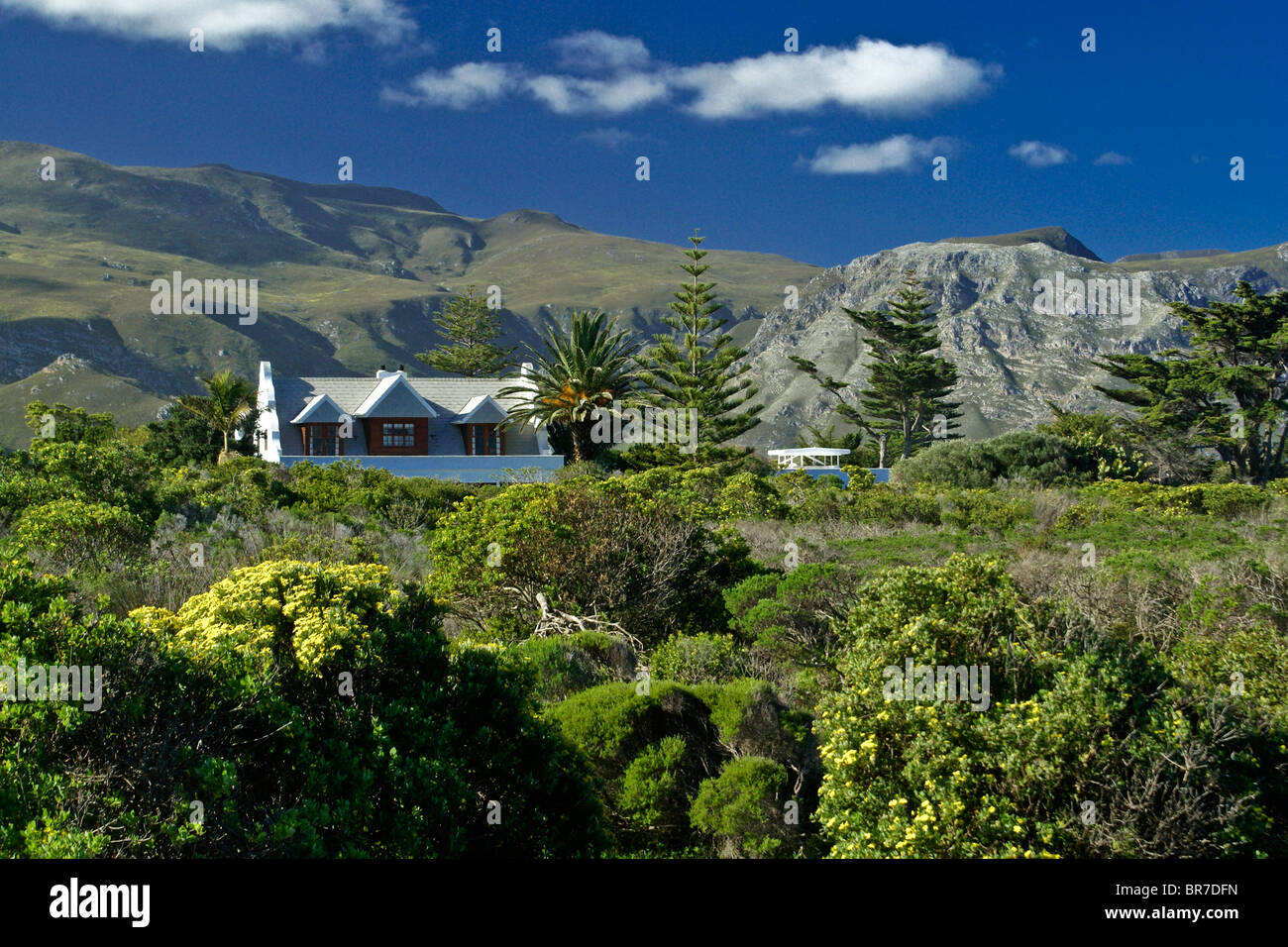 Haus in Hermanus, Western Cape, Südafrika Stockfoto