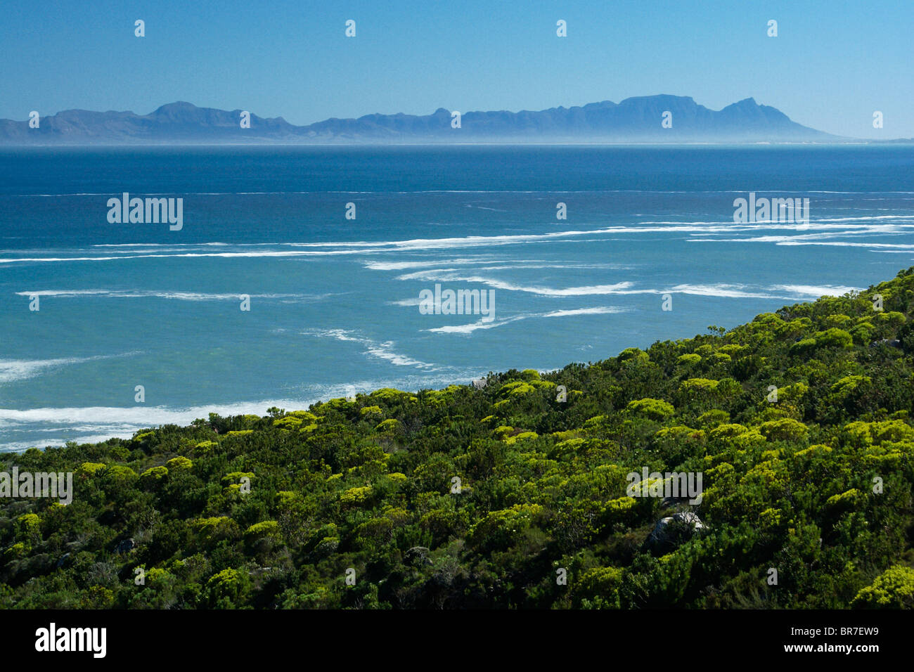 False Bay, Western Cape, Südafrika Stockfoto
