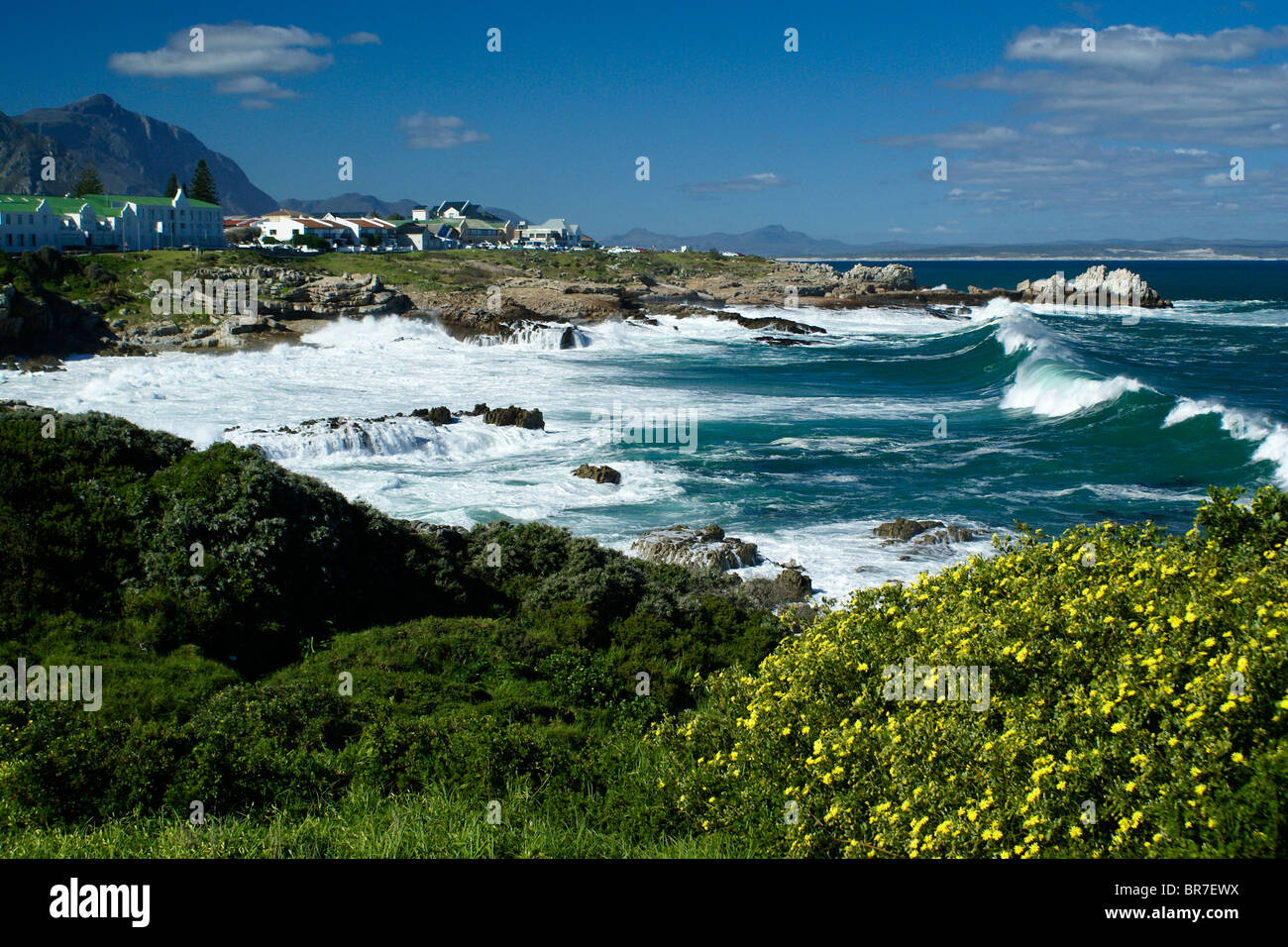 Hermanus und Walker Bay, Western Cape, Südafrika Stockfoto