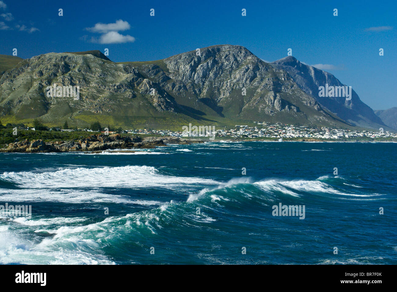 Gansbaai und Walker Bay, Western Cape, Südafrika Stockfoto