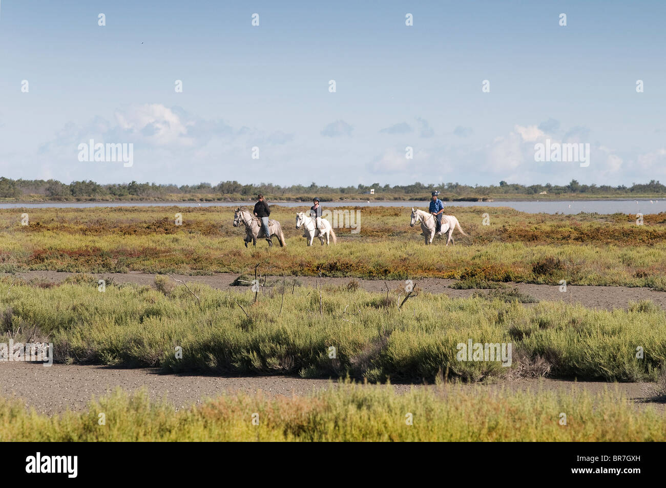 Ausflug ein Pferd Reiten in der Camargue Park, Frankreich Stockfoto