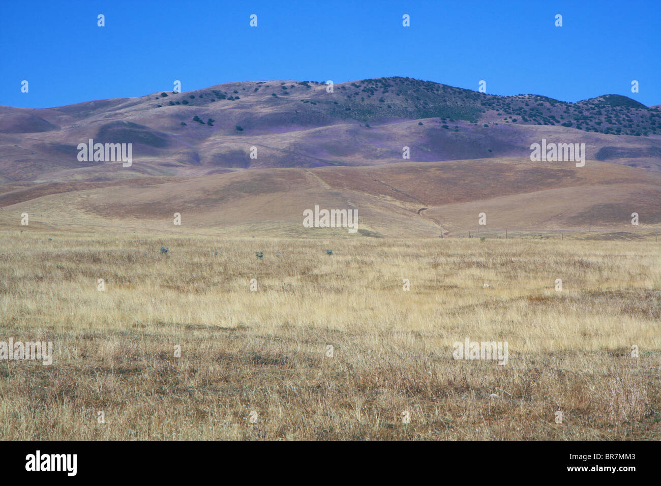Landschaft, Landesinnere, California, Vereinigte Staaten von Amerika Stockfoto