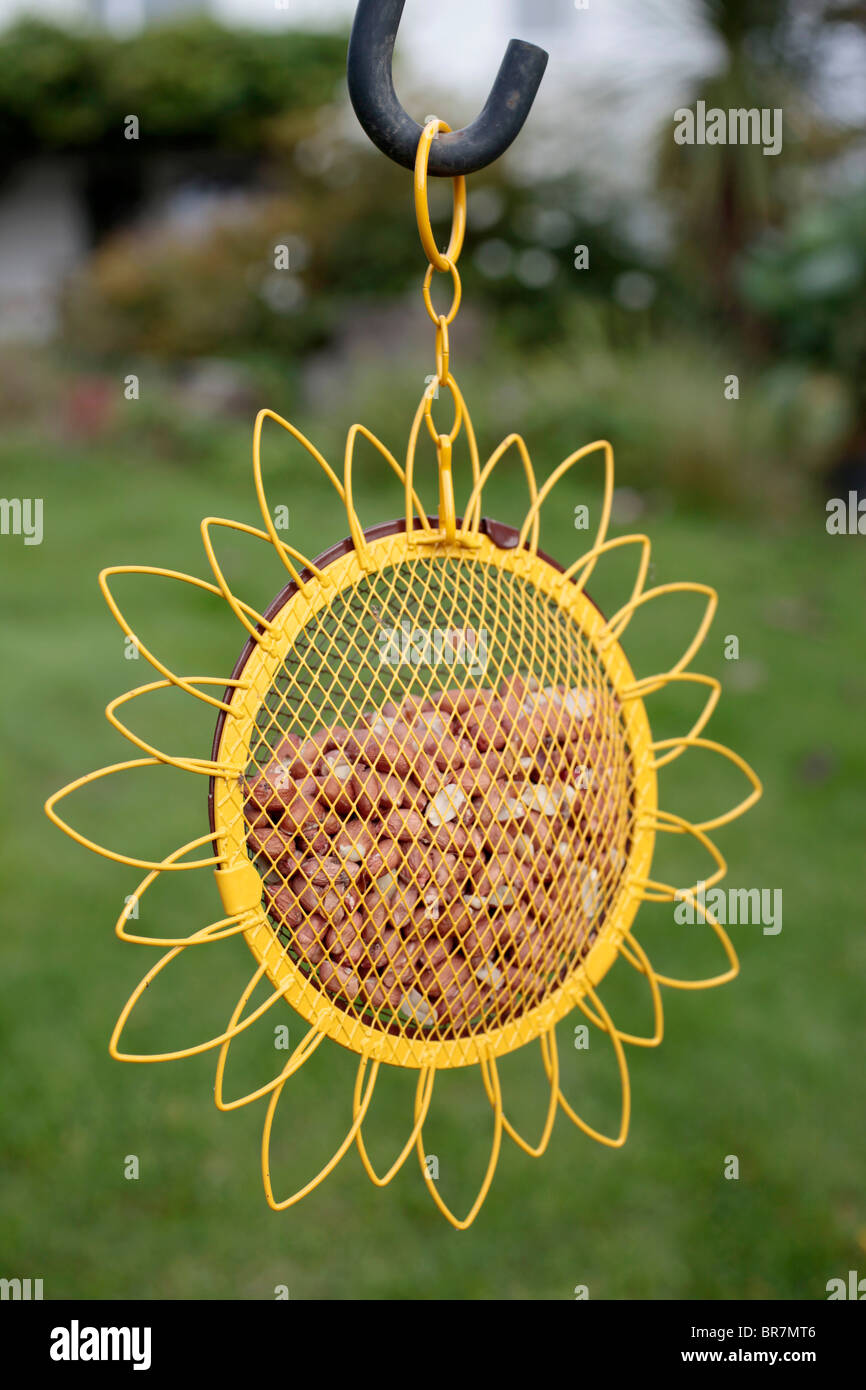 Sonnenblume geformt; Erdnuss Feeder; Garten; Stockfoto