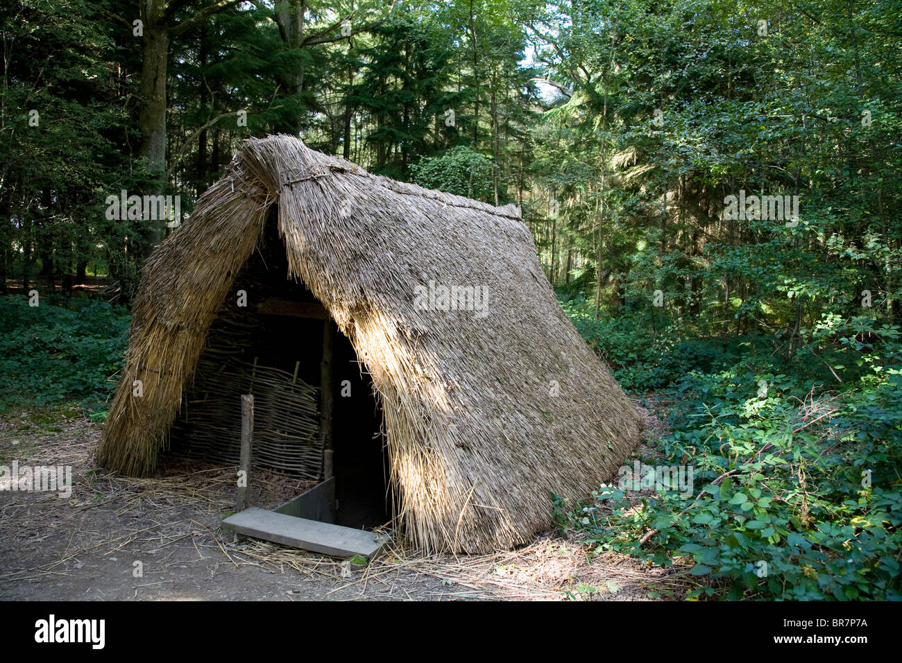 Sächsischen gewebt strohgedeckte Hütte Wald Tipi Stockfoto