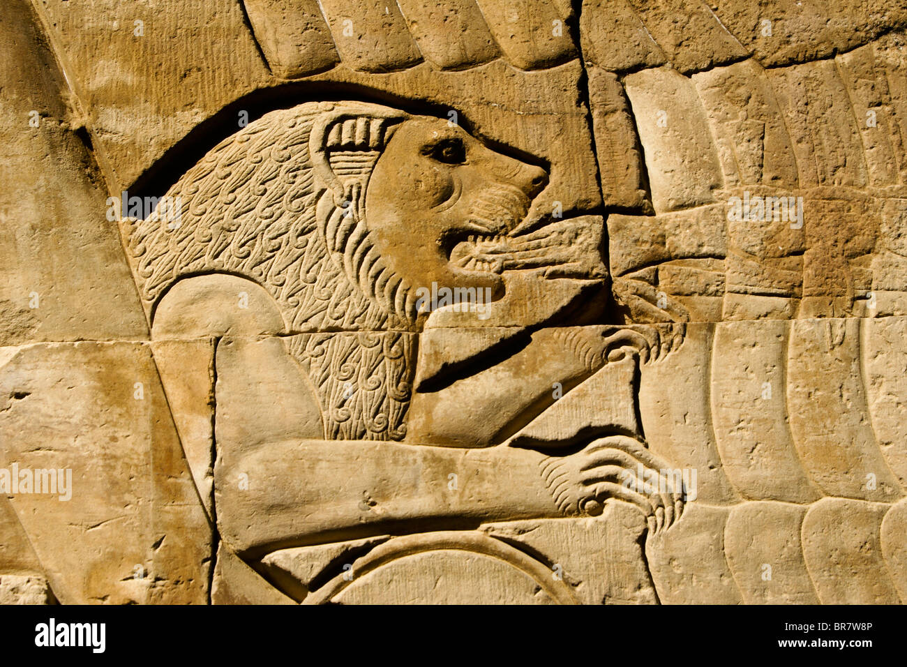 Löwe-Relief in Kom Ombo Tempel, Ägypten Stockfoto