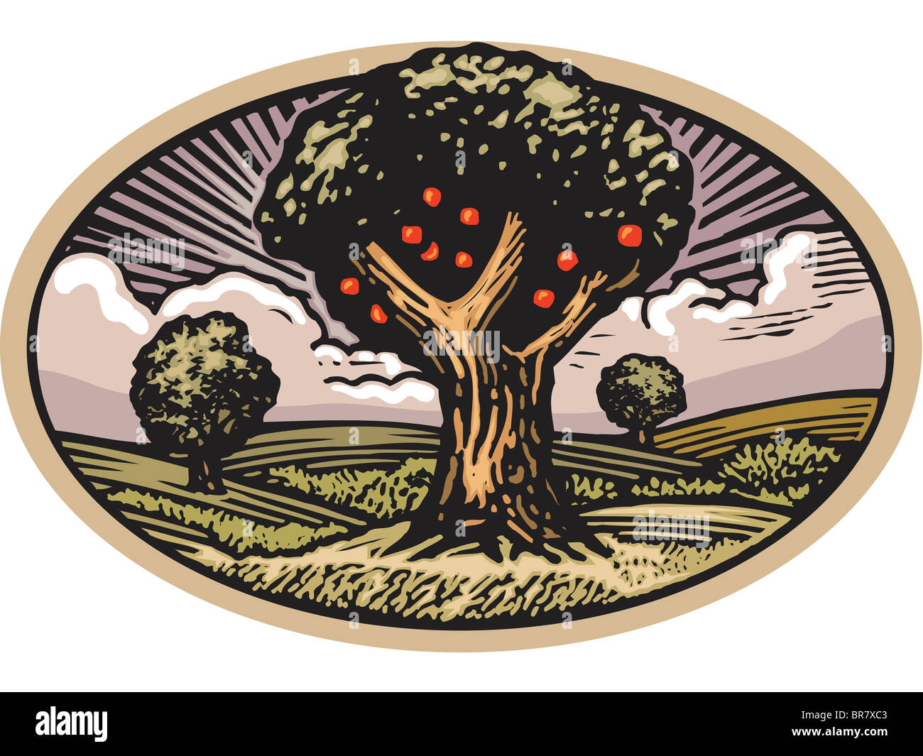 Ovale Szene mit Apfelbaum im Obstgarten Stockfoto