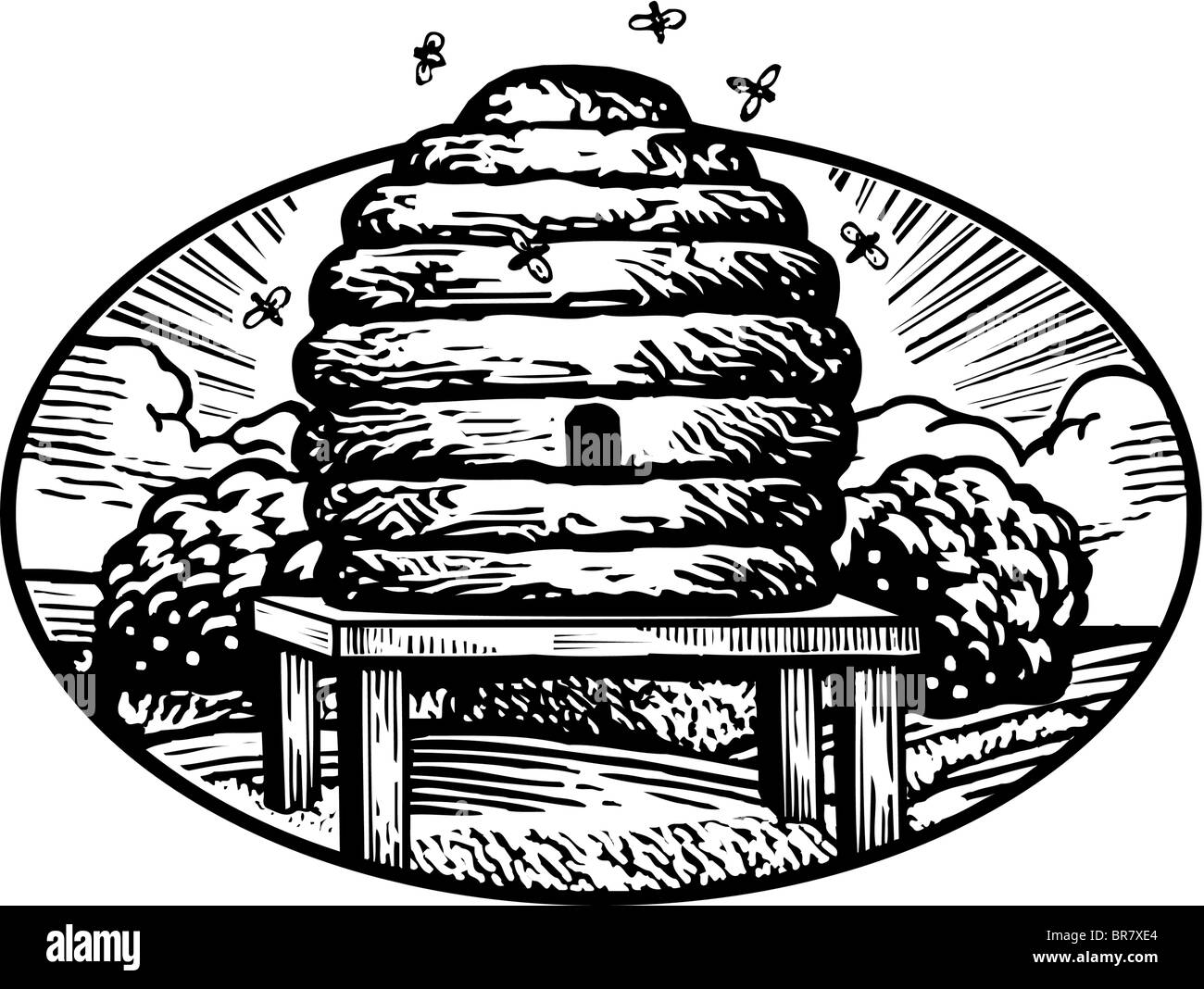 Zeichnung von einem Bienenstock in schwarz / weiß gezeichnet Stockfoto