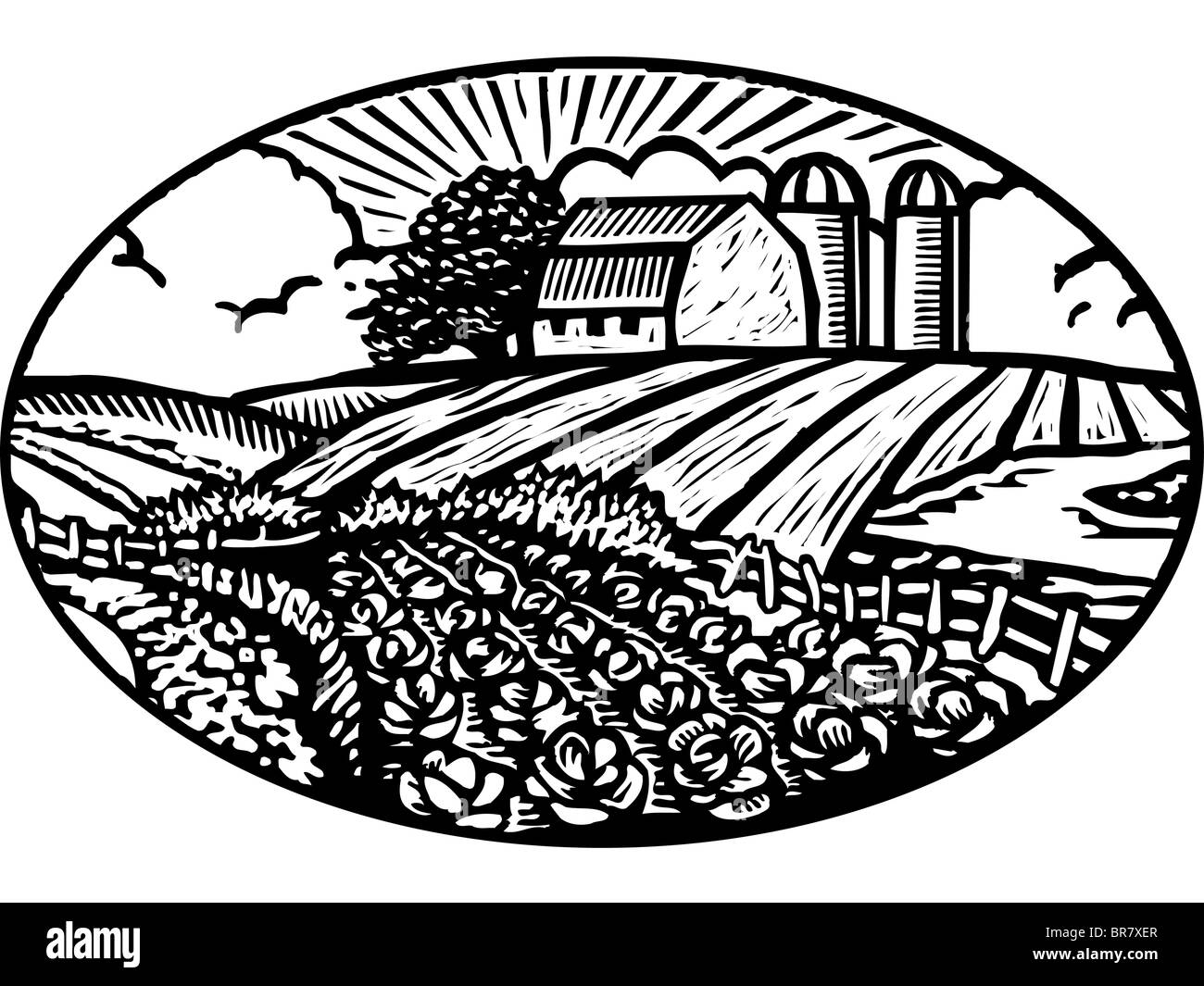 Ovale Szene Der Gemusegarten Mit Scheune Und Silo Im Hintergrund Schwarz Weiss Stockfotografie Alamy