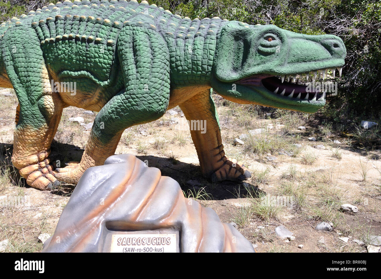 Saurosuchus, Dinosaur World, Glen Rose, Texas, USA Stockfoto