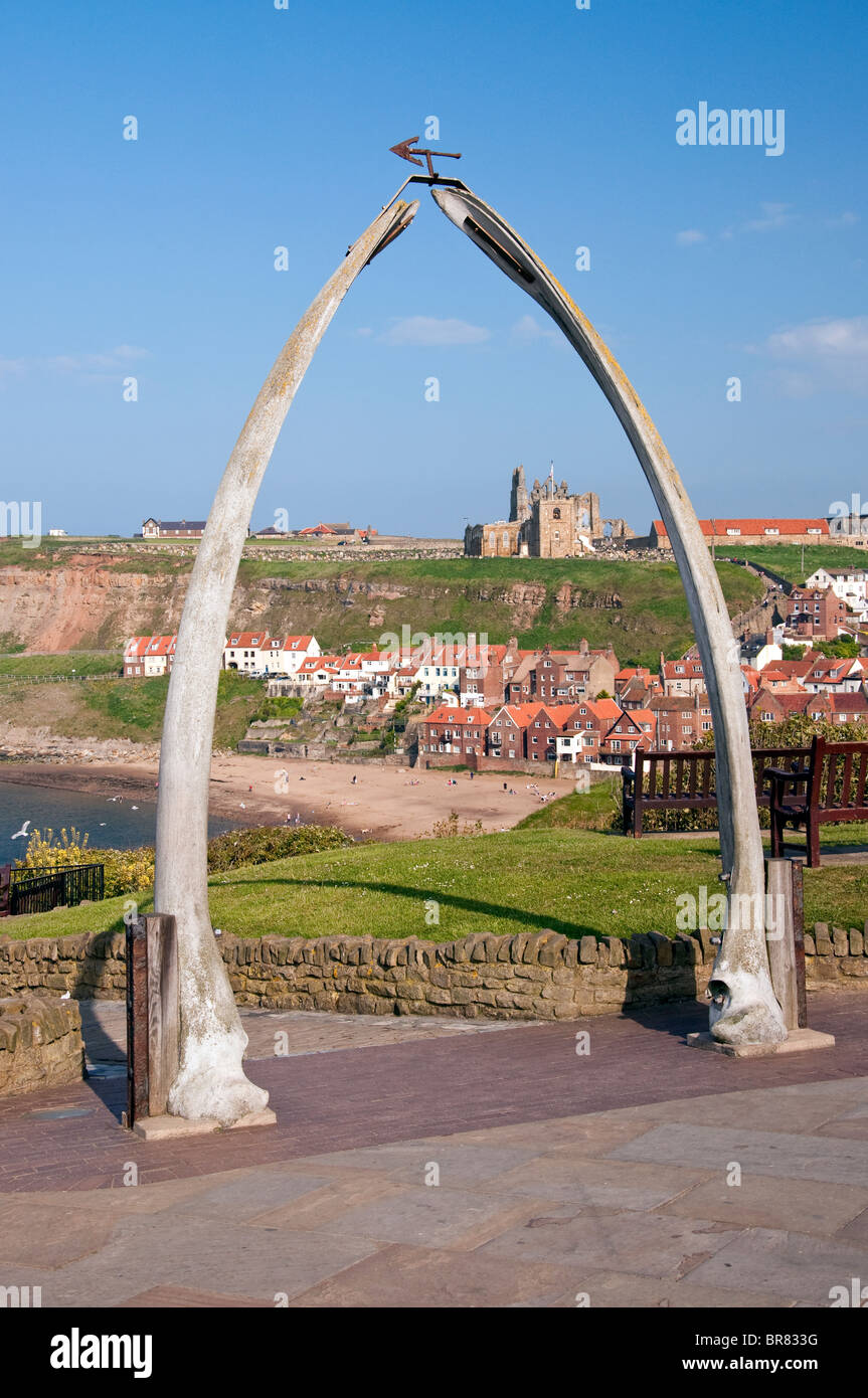 Walknochen mit Blick auf den Hafen und die Abtei in Whitby an der Ostküste Englands in North Yorkshire Stockfoto