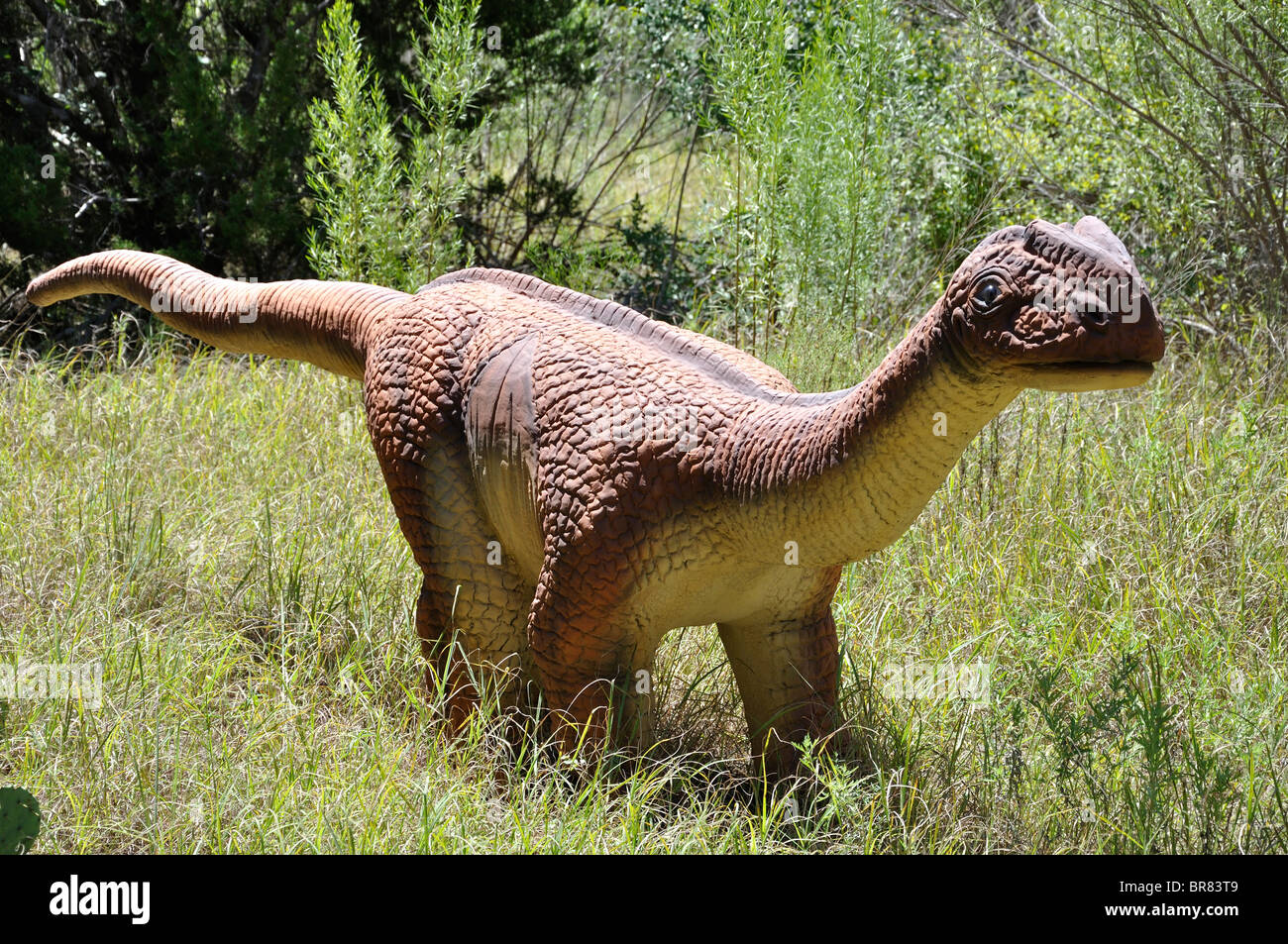 Massospondylus, Dinosaur World, Glen Rose, Texas, USA Stockfoto
