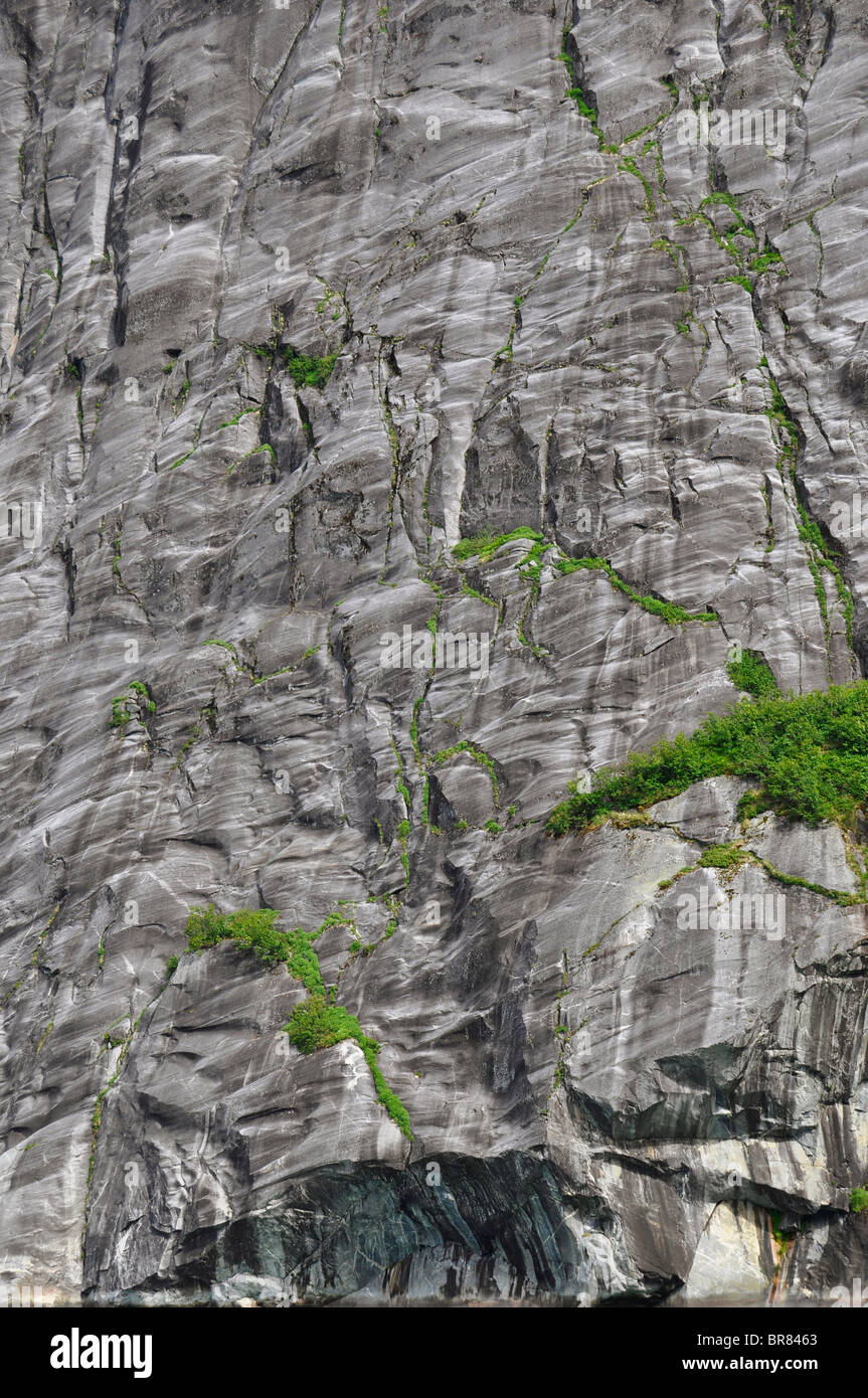 Felswand geätzt von Gletschern (Tracy Arm, Alaska) Stockfoto