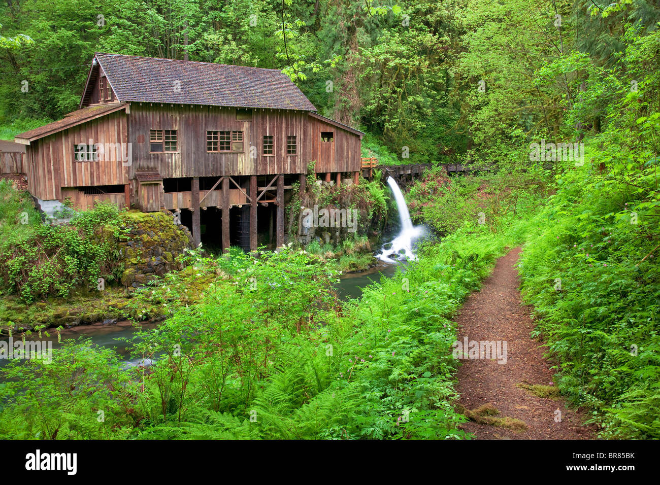 Cedar Creek Grist Mill im Frühjahr mit Pfad. Woodland, Washington Stockfoto