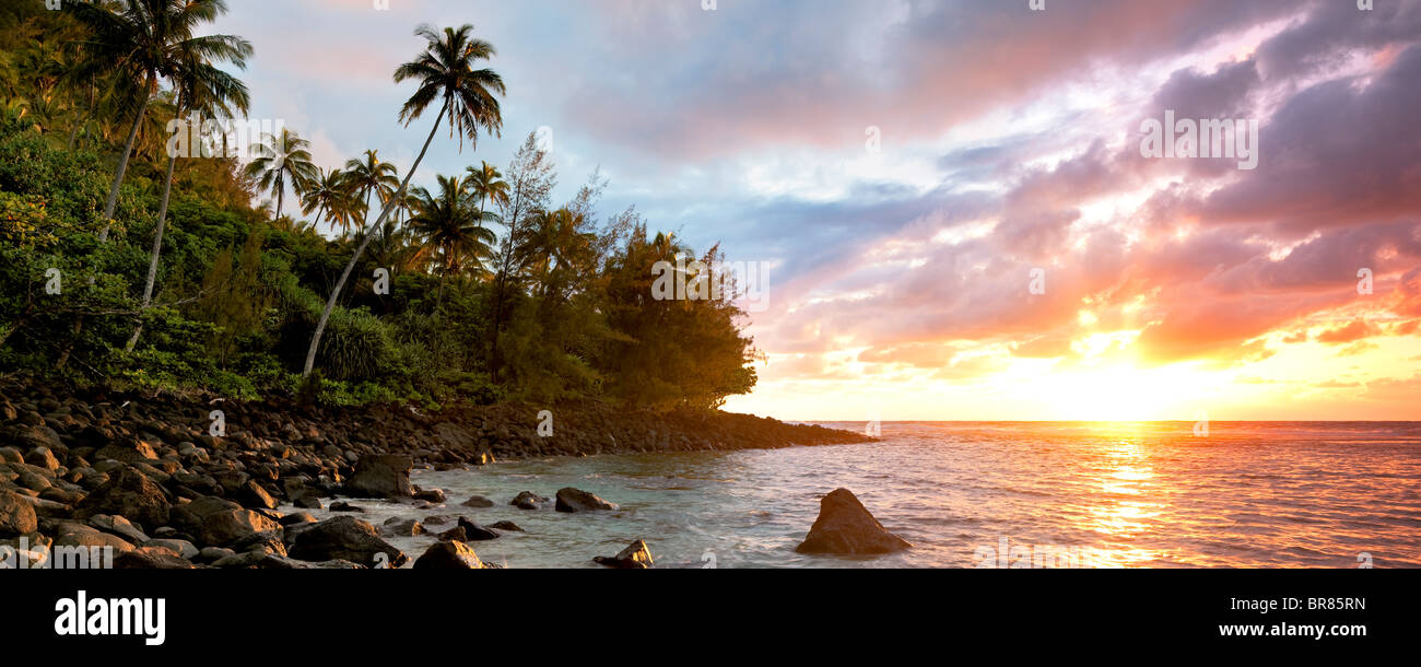 Sonnenuntergang am Kee Beach mit Palmen. Kauai, Hawaii. Stockfoto