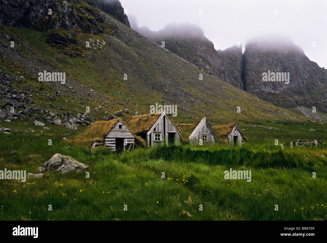 Historische alte Rasen Dach Bauernhäuser als Film, grüne Erde, Berge, Siglufjordur, Island, Europa verwendet. Eco, skandinavischen Bauernhaus, FS 17.46 Stockfoto