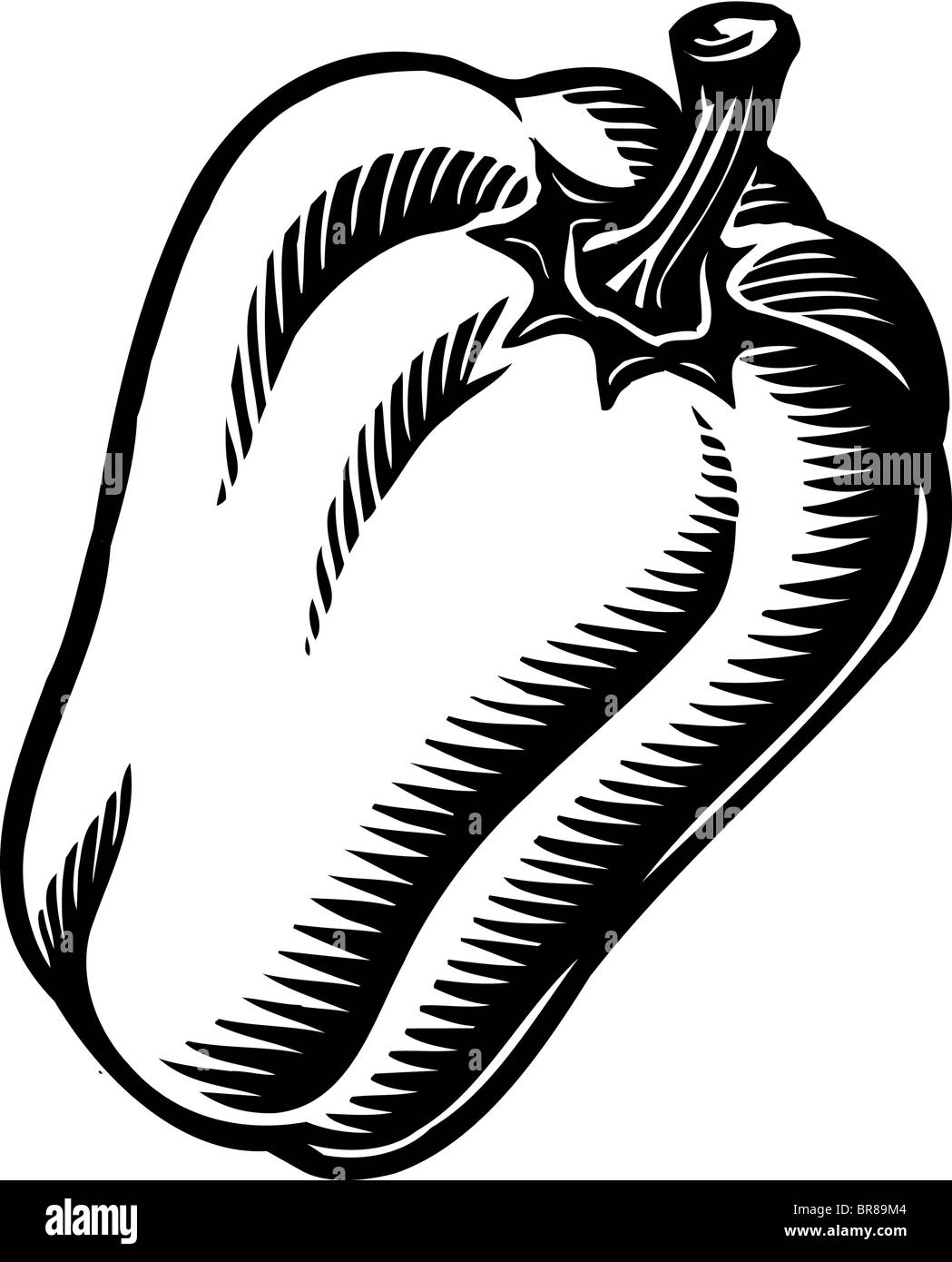 Eine schwarz und weiß Illustration eine Paprika Stockfoto