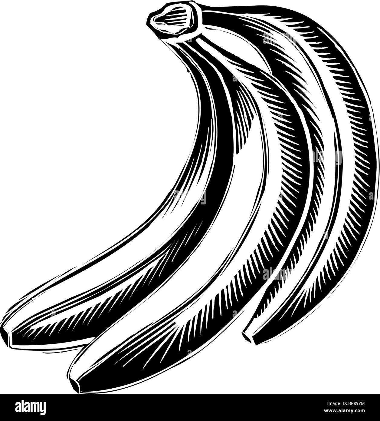 Eine bildliche Darstellung einer Reihe von Bananen Stockfoto
