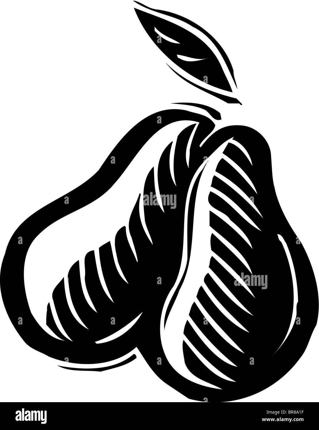Eine grafische Darstellung von zwei Birnen in schwarz und weiß Stockfoto