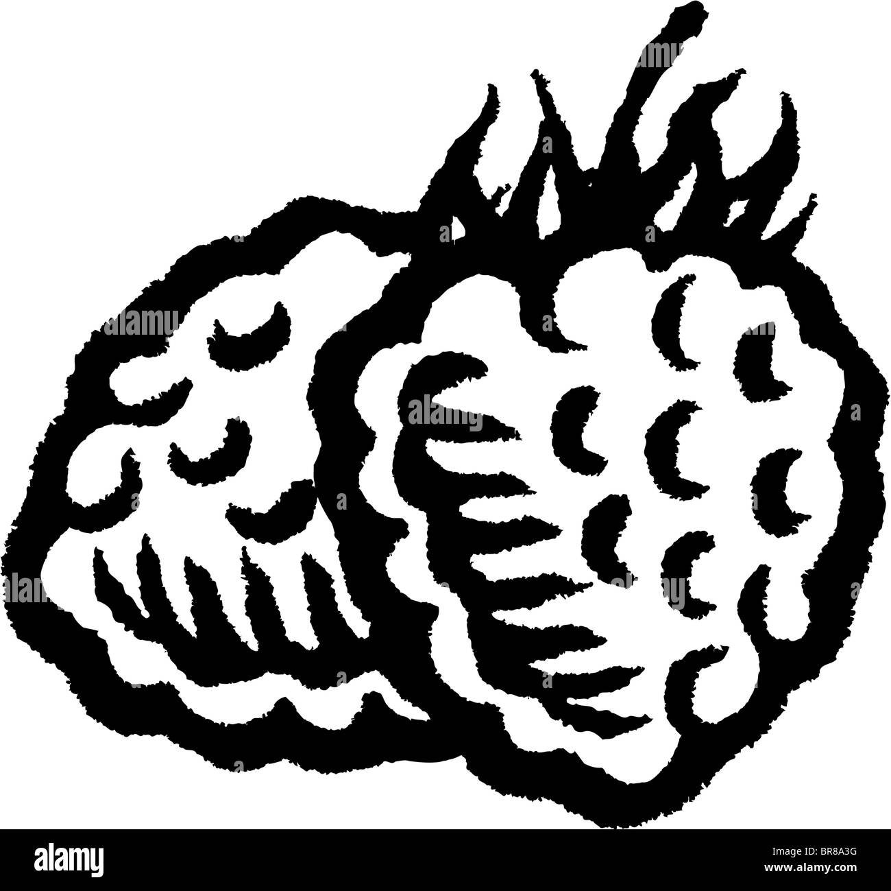 Ein Bild von zwei Himbeeren in schwarz / weiß Stockfoto