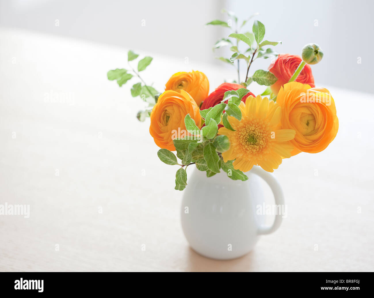 Gelb und Orange Blumen in Weiß Vase Stockfoto