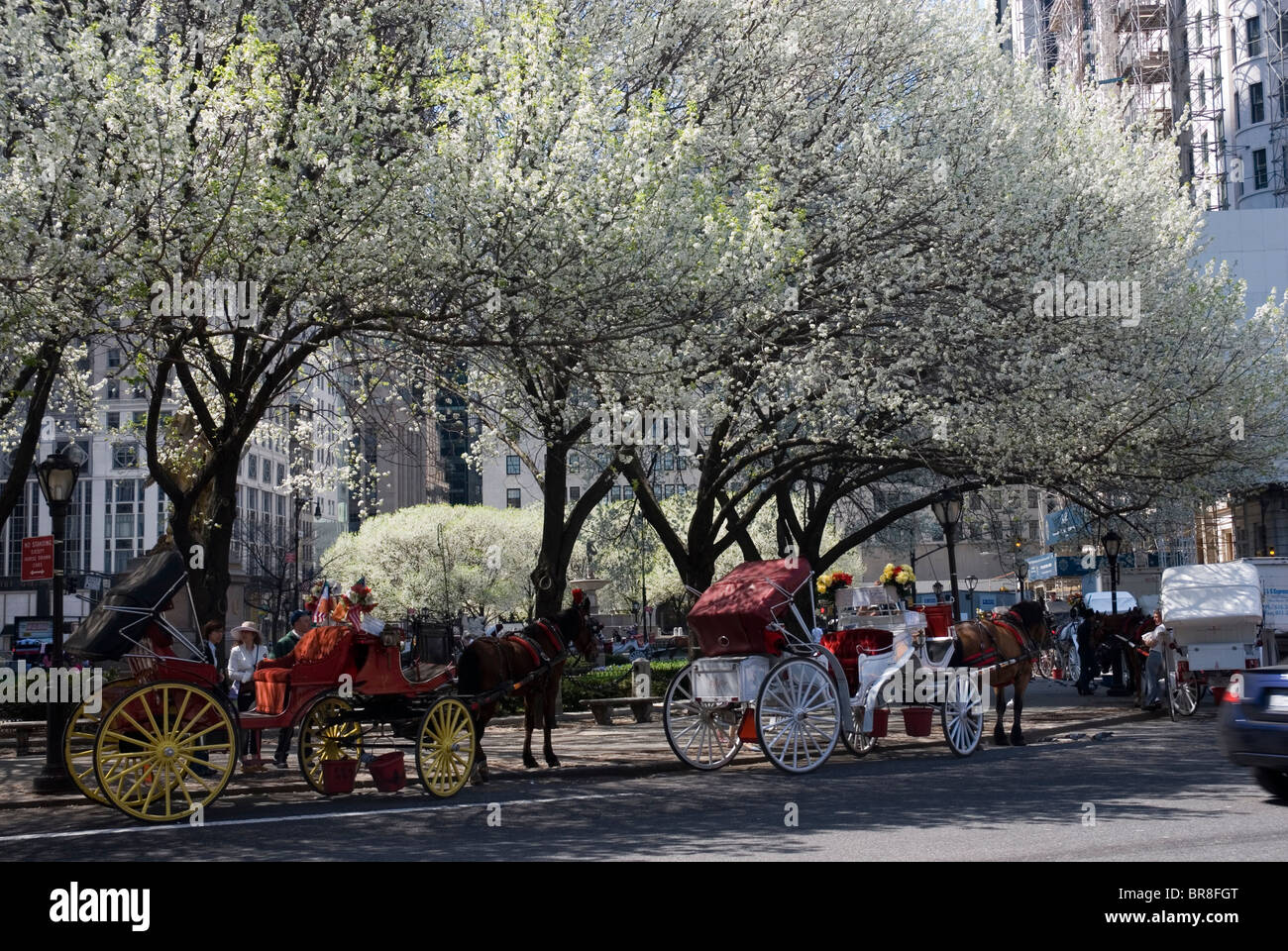 Pferdekutschen warten Fahrer im Central Park New York City Stockfoto