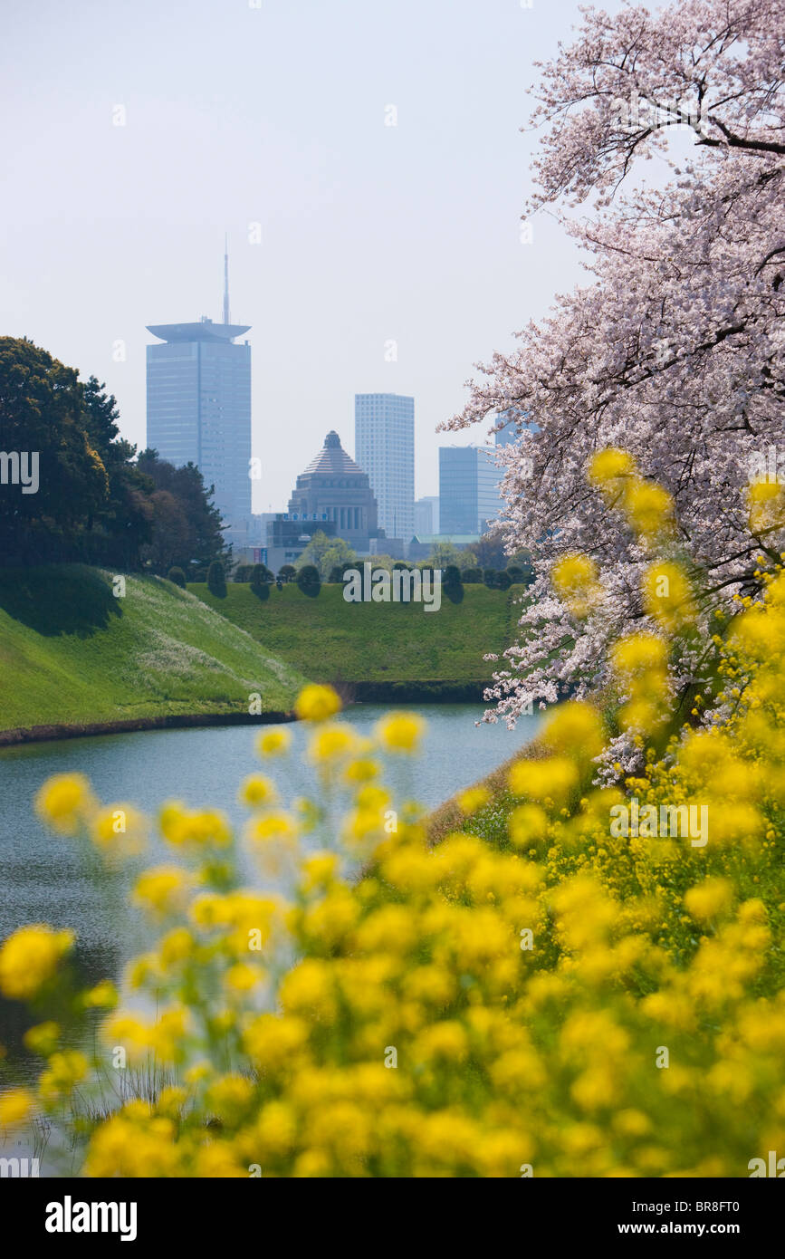 Blumen und die Diät Gebäude Stockfoto