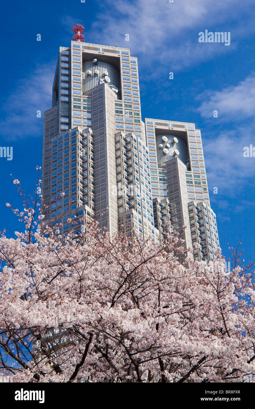 Metropolitan Regierungsgebäude und Kirschblüten Stockfoto