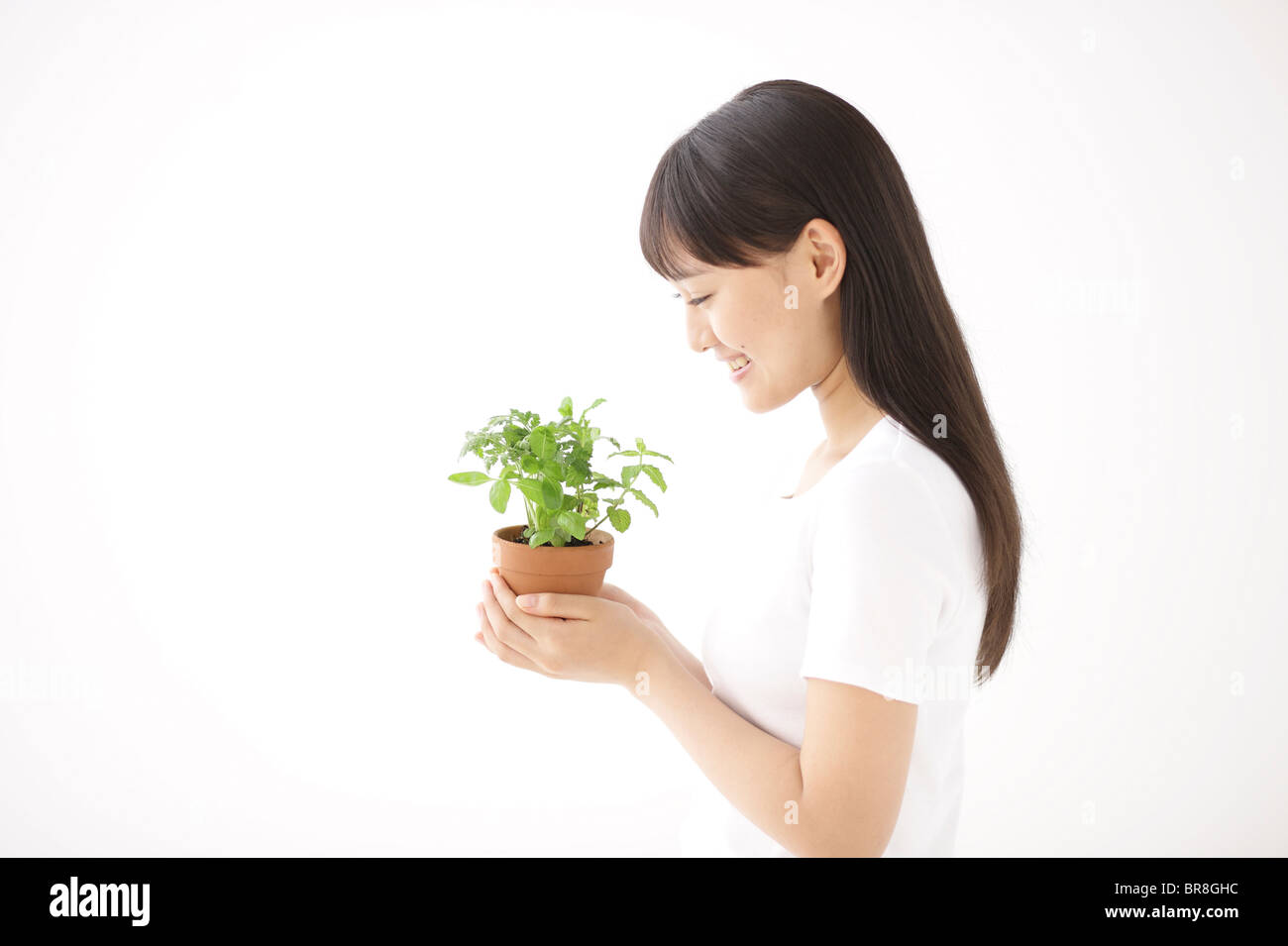 Junge Frau mit Kraut Pot Stockfoto