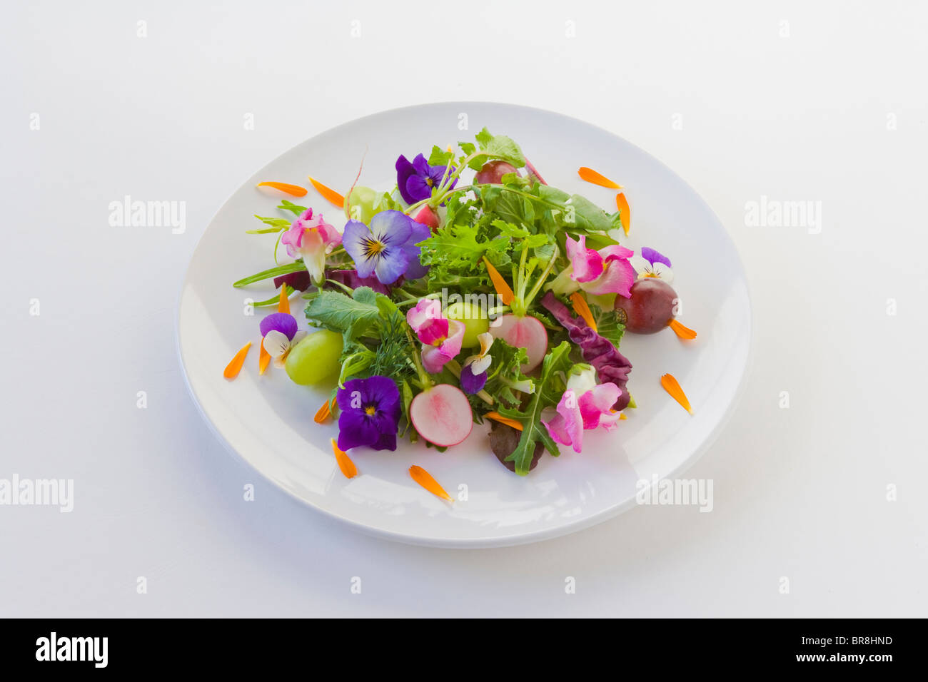 Salat mit Blumen, weißer Hintergrund Stockfoto