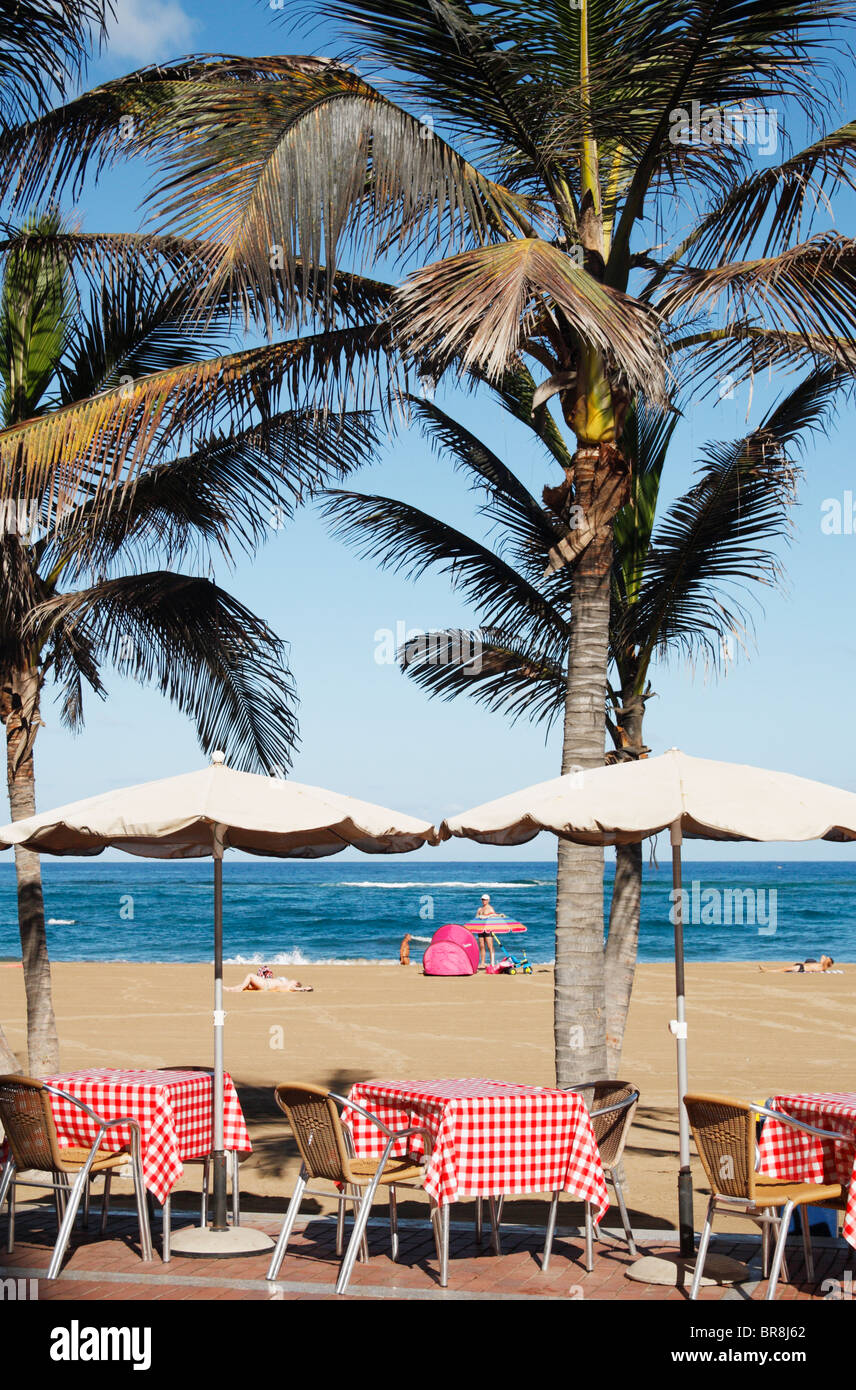 Restauranttische unter Palmen am Playa de Las Canteras in Las Palmas, Gran Canaria Stockfoto