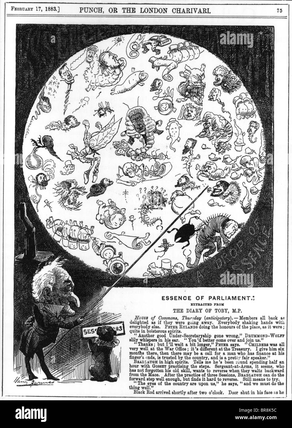 DIE Essenz des Parlaments Punch-Karikatur von 1883 zeigt Politiker als mikroskopische Lebensformen Stockfoto
