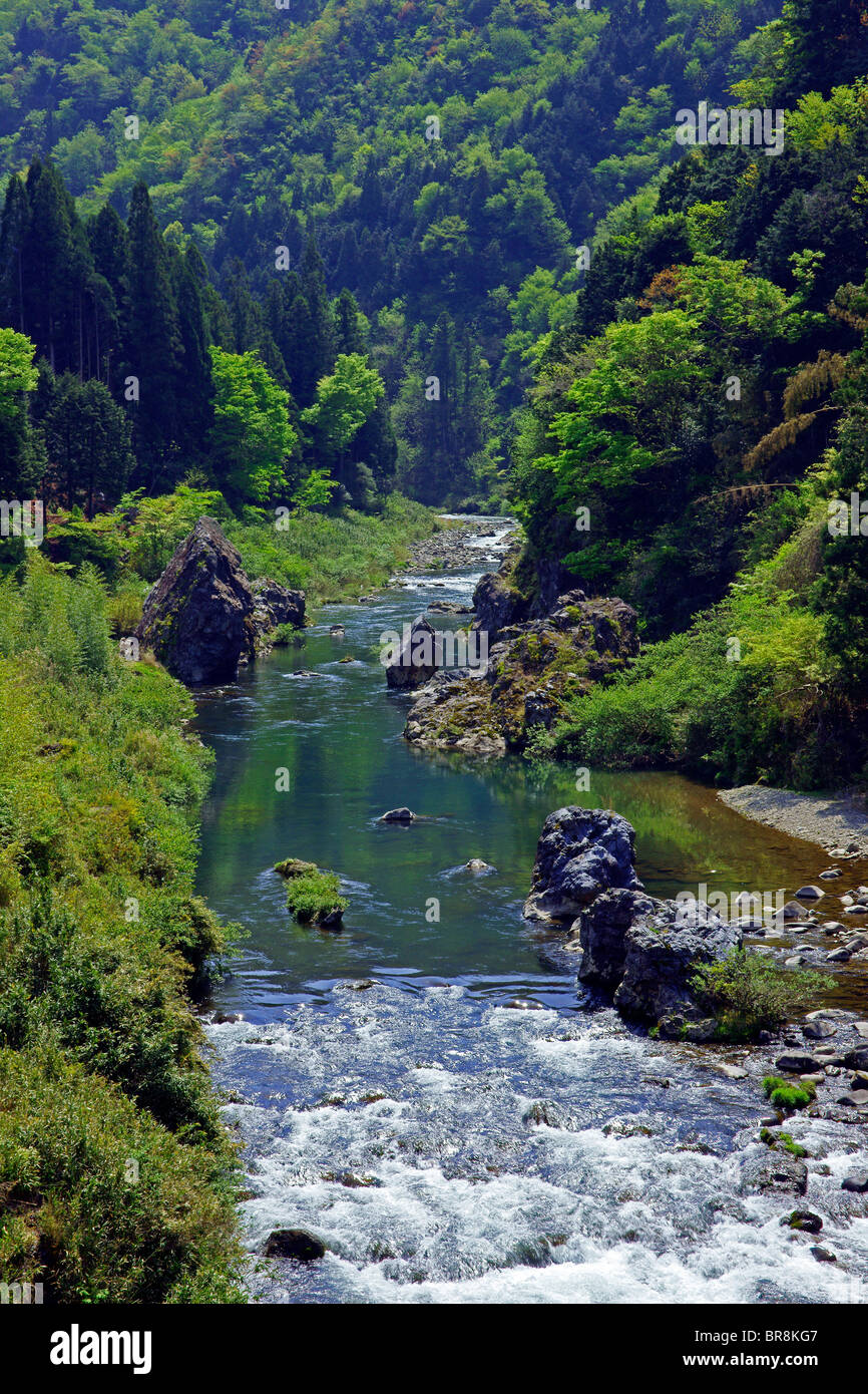 Mase Fluss Stockfoto