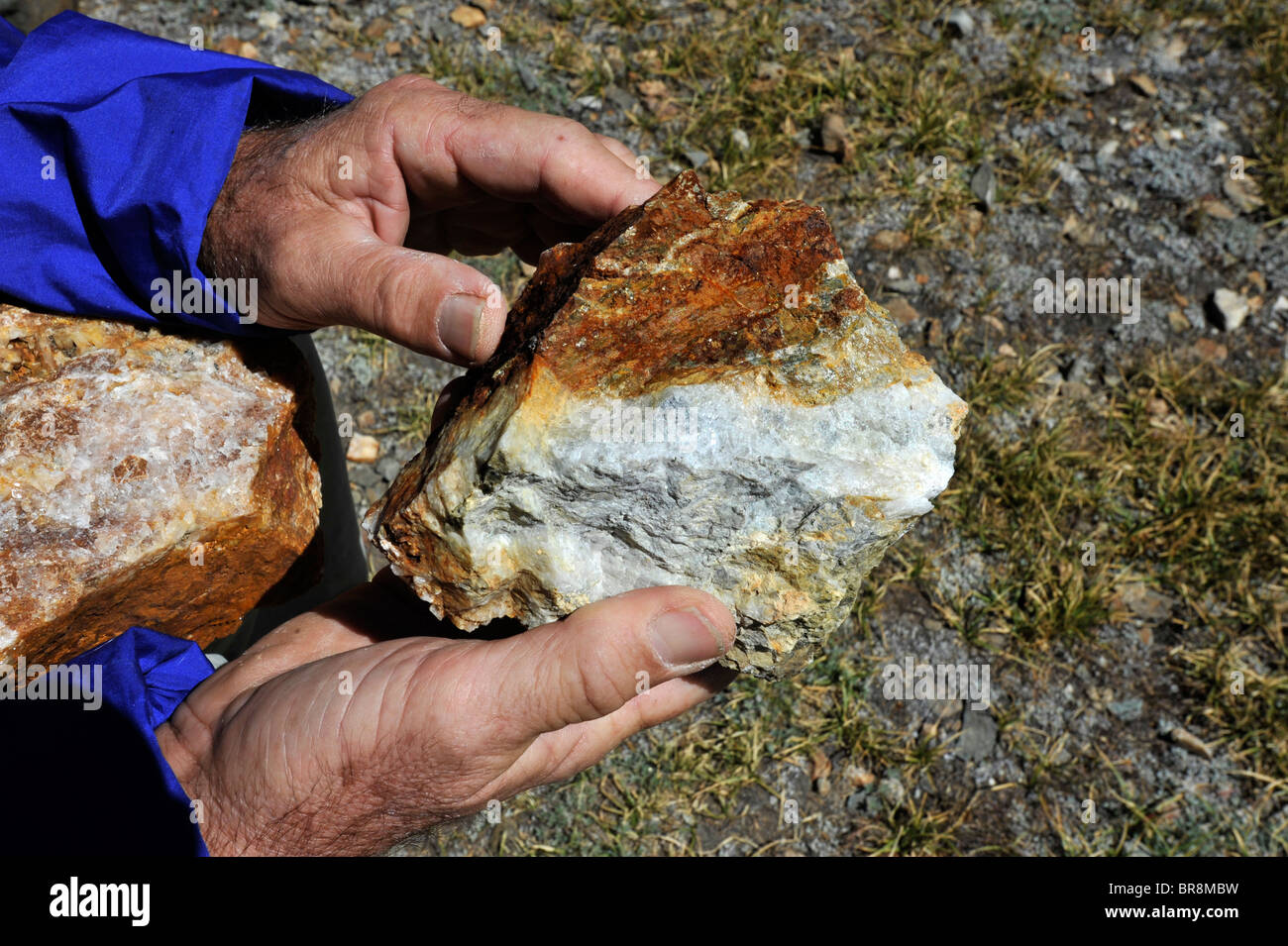 Quarz mit Eisen Pyrit oder Fools Gold in der Sierra Nevada Stockfoto