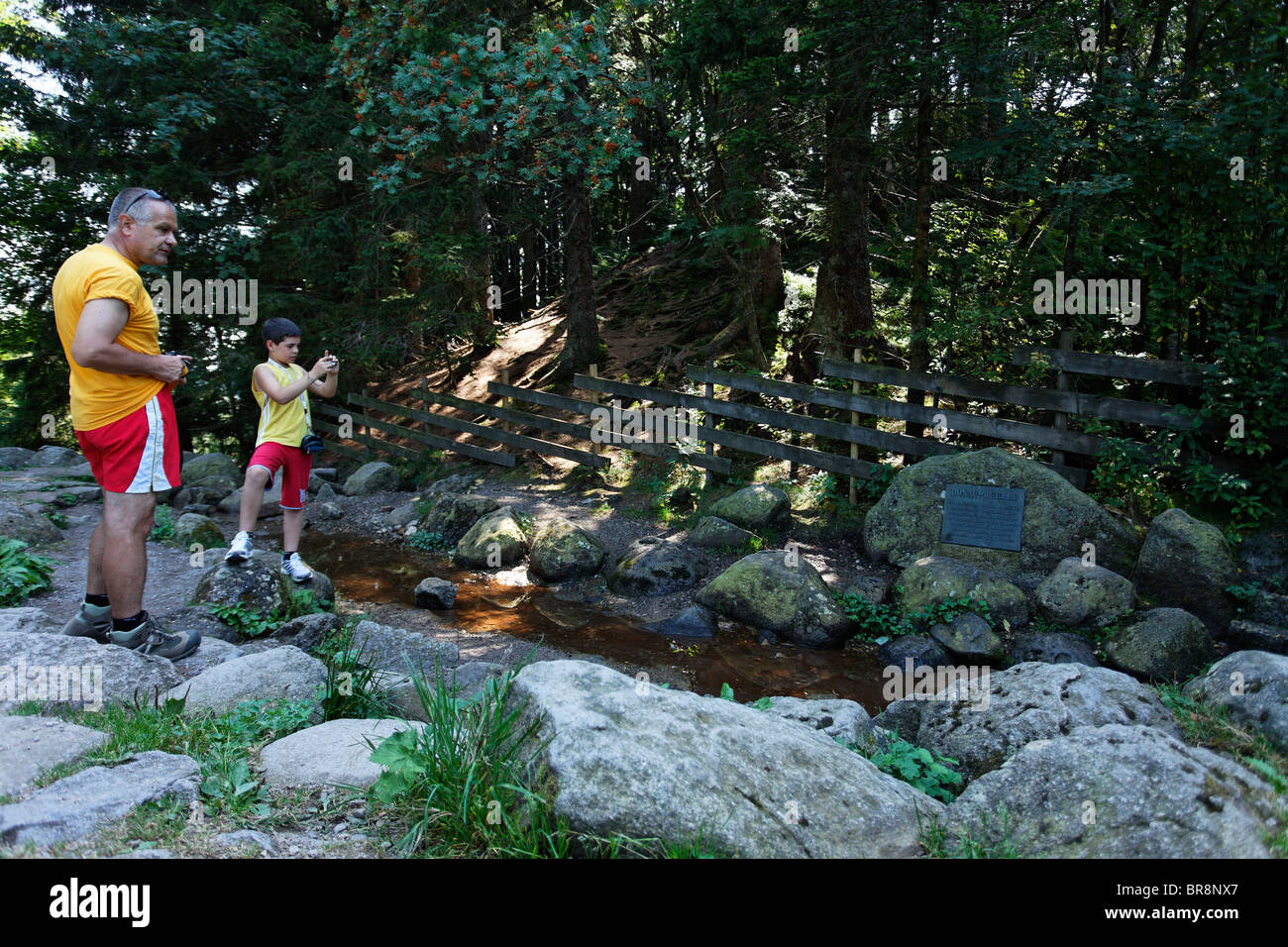 quelle des streams breg stockfotos und bilder kaufen alamy