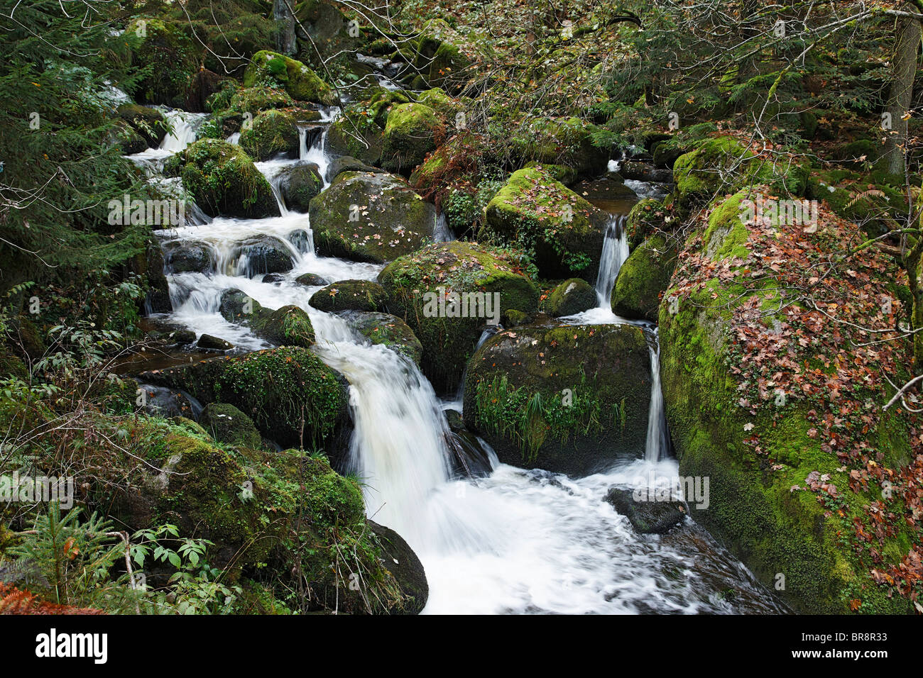 Gutach, Triberg Im Schwarzwald, Baden-Württemberg, Deutschland Stockfoto