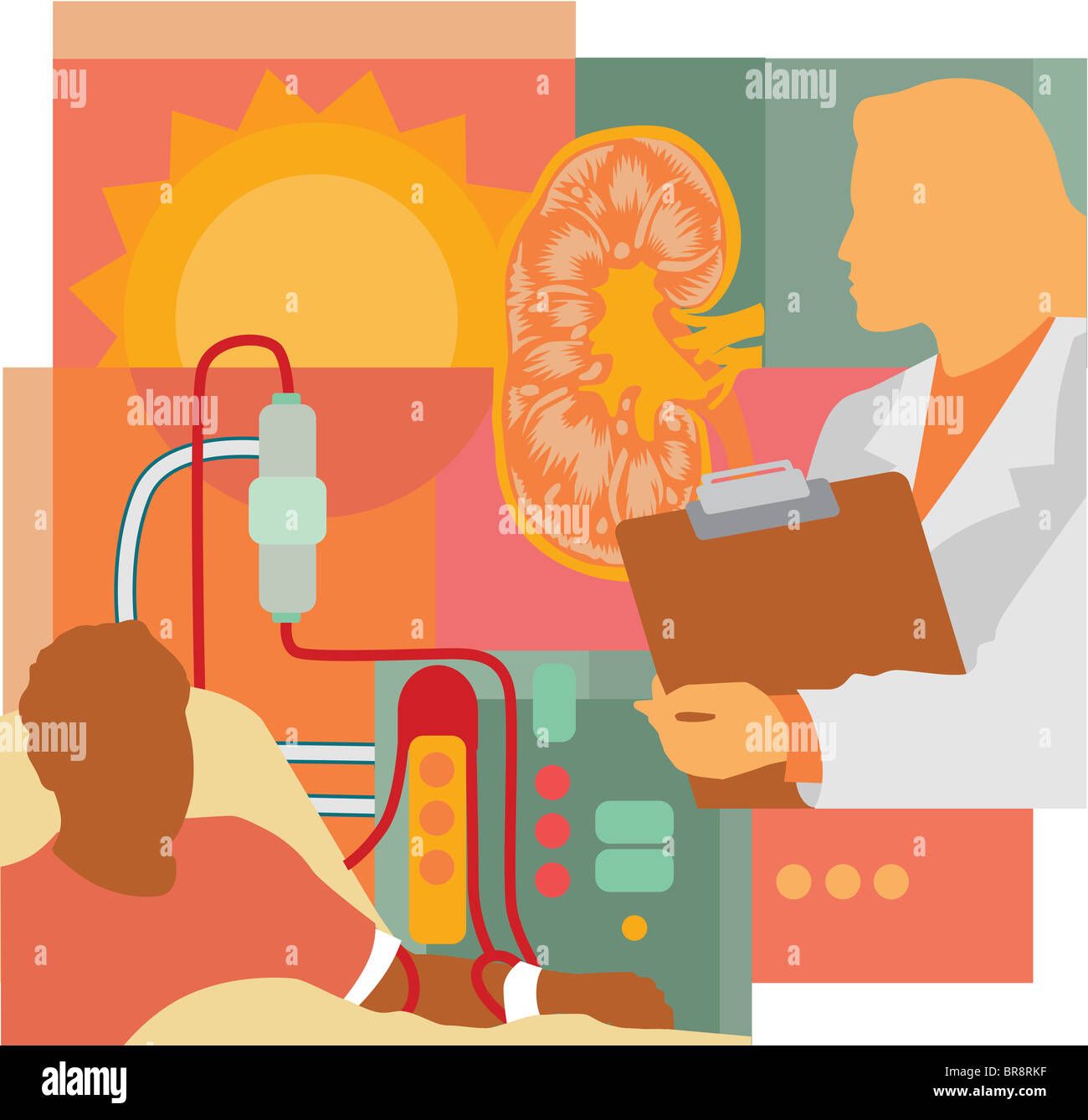 Collage aus eine Niere, einen Arzt, eine Sonne und ein Patient an der Dialyse Stockfoto