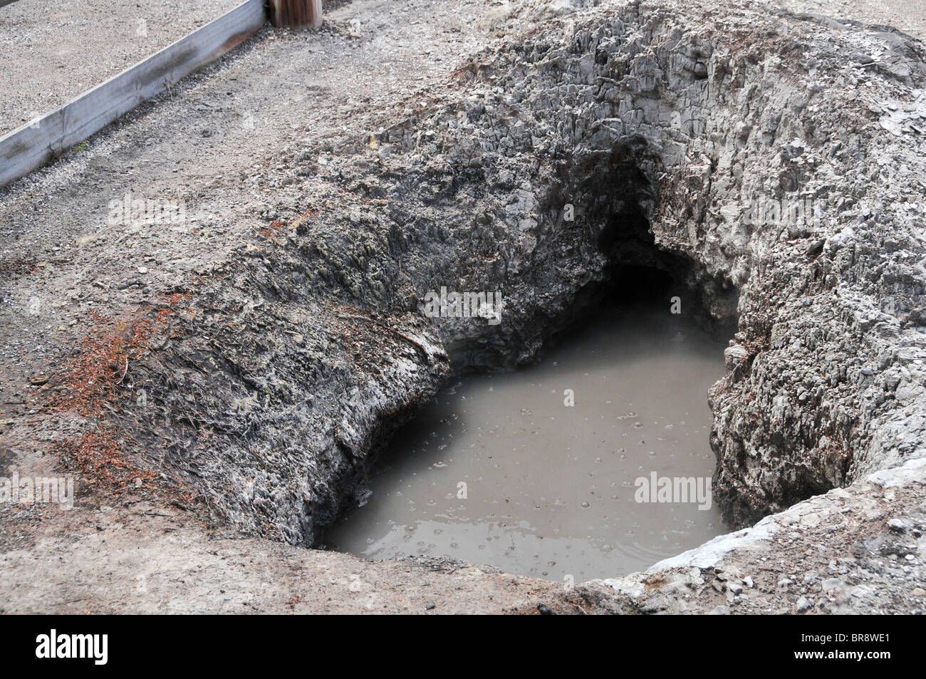 Die Te Puia geothermische Kulturerlebnis, Pohutu Geysir, Rotorua, Nordinsel, Neuseeland Stockfoto