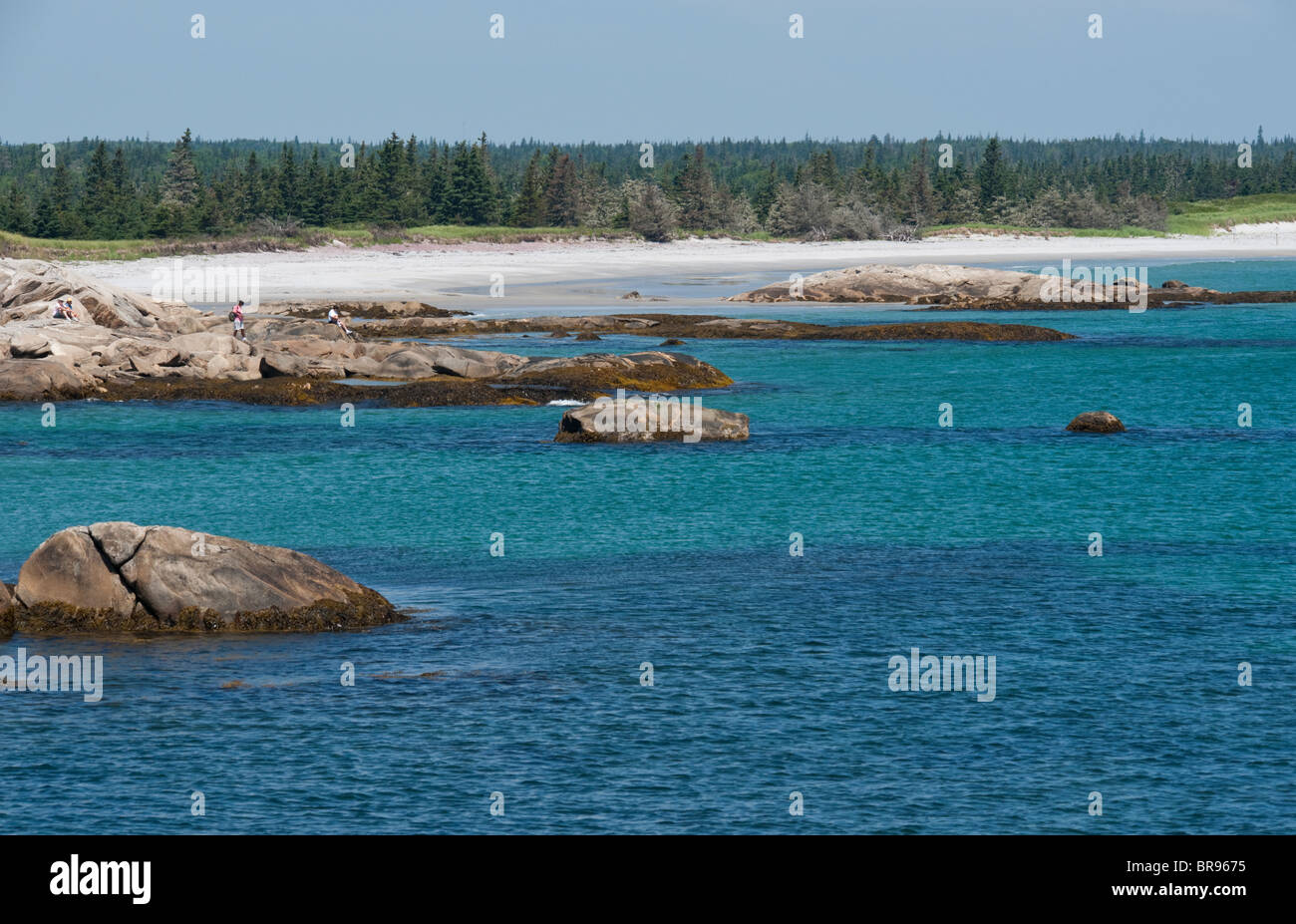 Kejimkujik Nationalpark, Nova Scotia Stockfoto