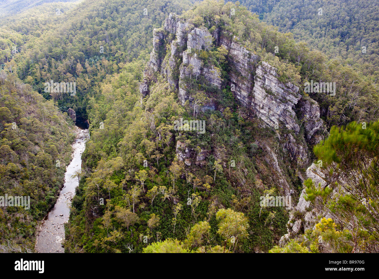 Mersey River und schroffen Klippen der Alaun in der Mersey-Fluss-Schlucht in der Nähe von Mole Creek im Norden Tasmaniens Stockfoto