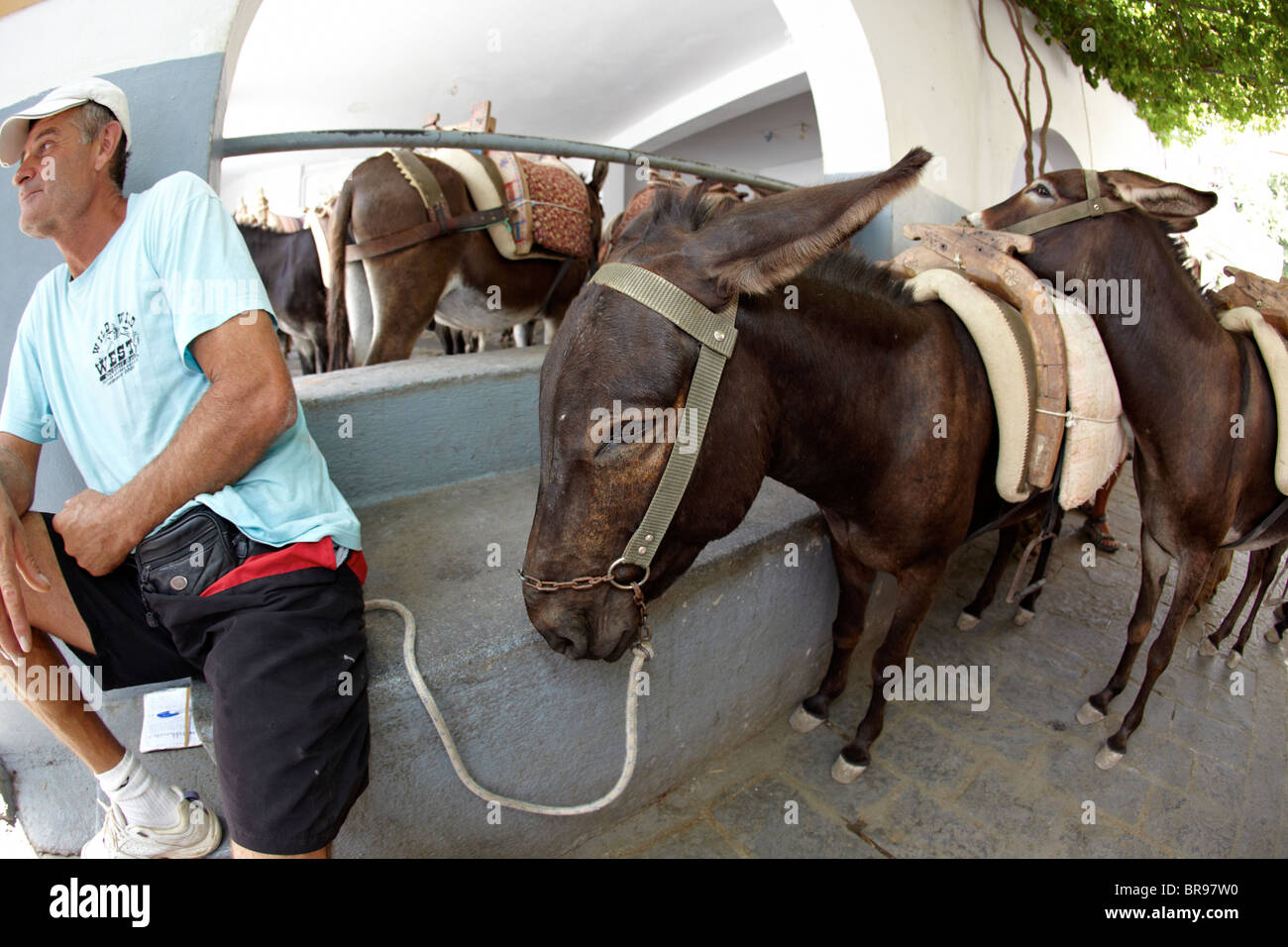 Touristen, die Reiten Esel In Lindos Rhodos griechische Inseln Griechenland Hellas Stockfoto