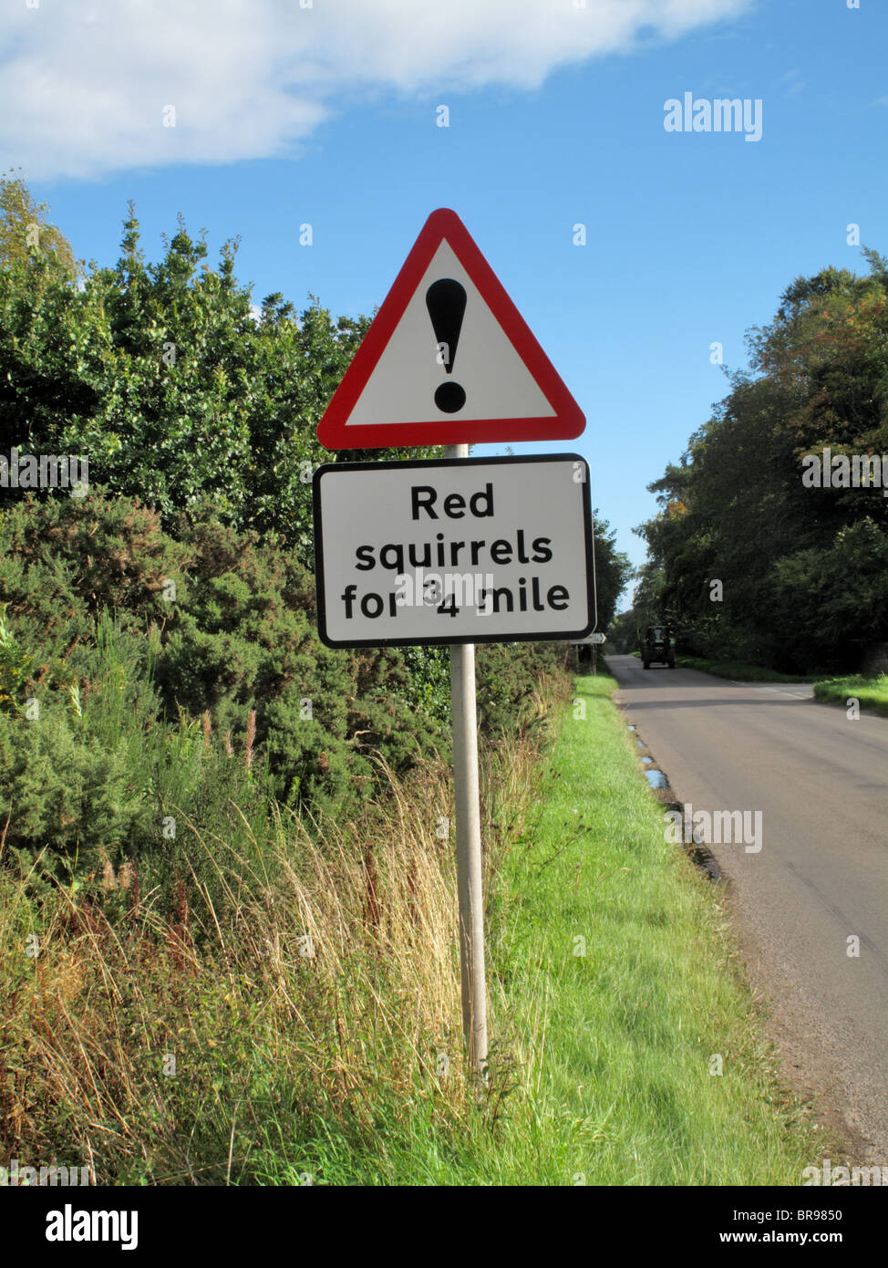 ein Schild in der N. von Schottland Warnung Fahrer die Möglichkeit der roten Eichhörnchen beim Überqueren der Straße mit der nächsten Meile Stockfoto