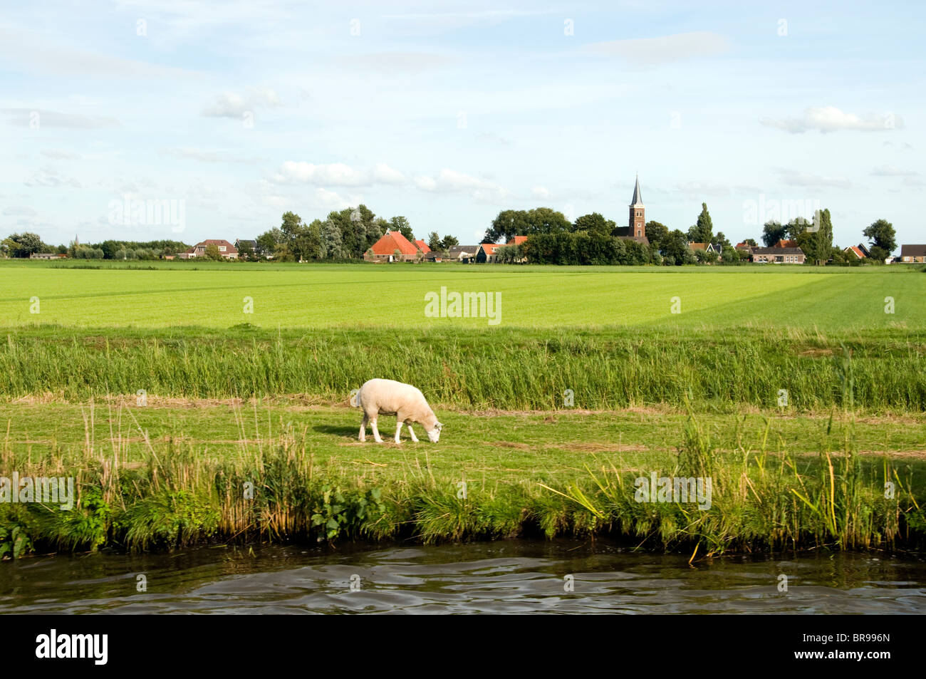 Friesland Holland Parrega Dorf Bauern Stockfoto