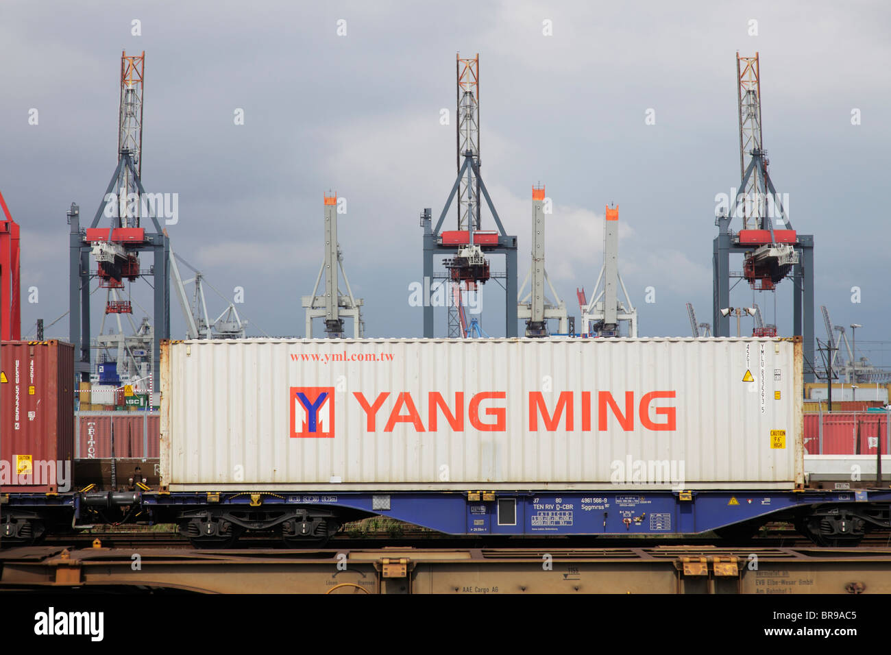 YANG MING-Container auf einen Güterzug am Burchardkai in Hamburg Stockfoto