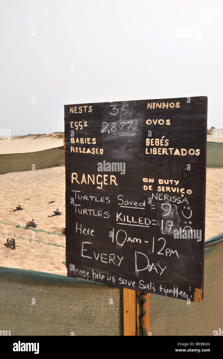 Schildkröte-Naturschutzgebiet am Strand in Sal, Kap Verde Stockfoto